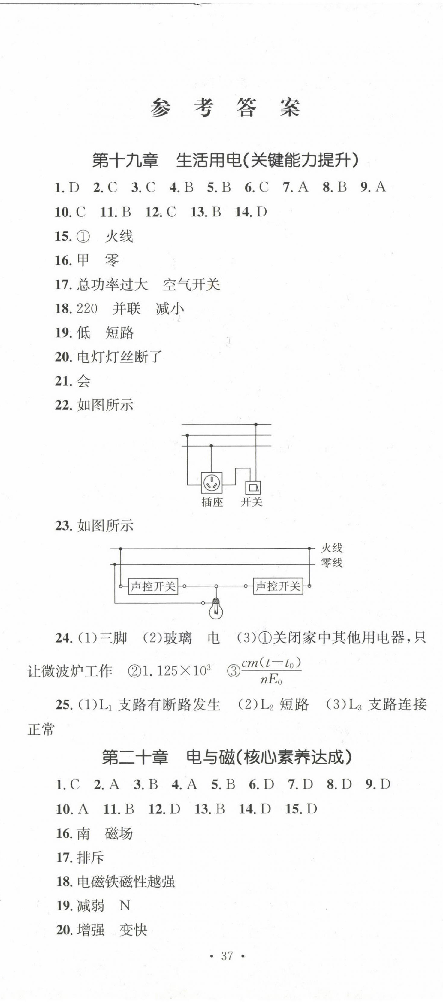 2023年學(xué)科素養(yǎng)與能力提升九年級物理下冊人教版 第2頁