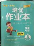 2023年一課3練培優(yōu)作業(yè)本六年級(jí)數(shù)學(xué)下冊(cè)人教版福建專版