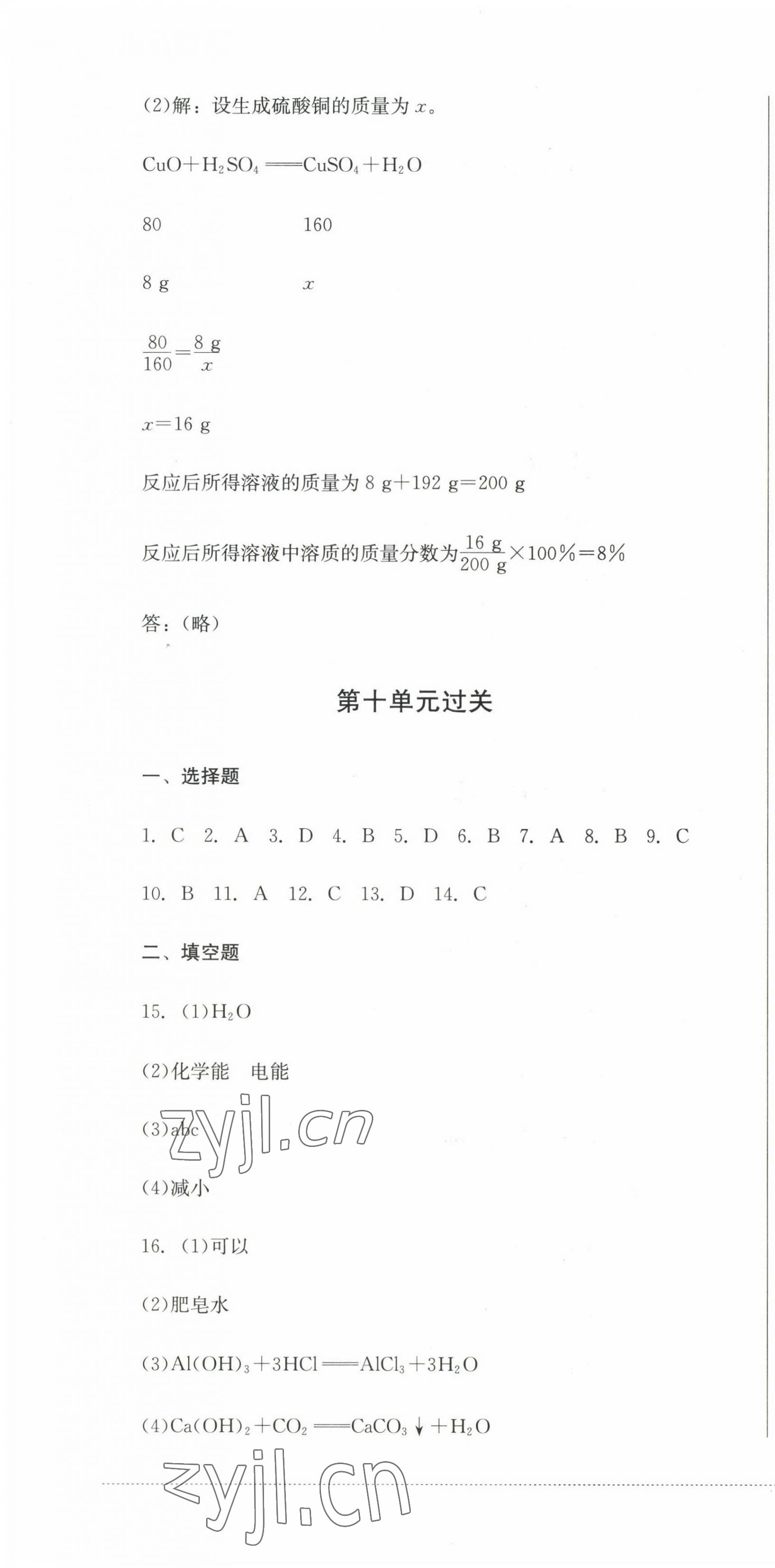 2023年精练过关四川教育出版社九年级化学下册人教版 第4页