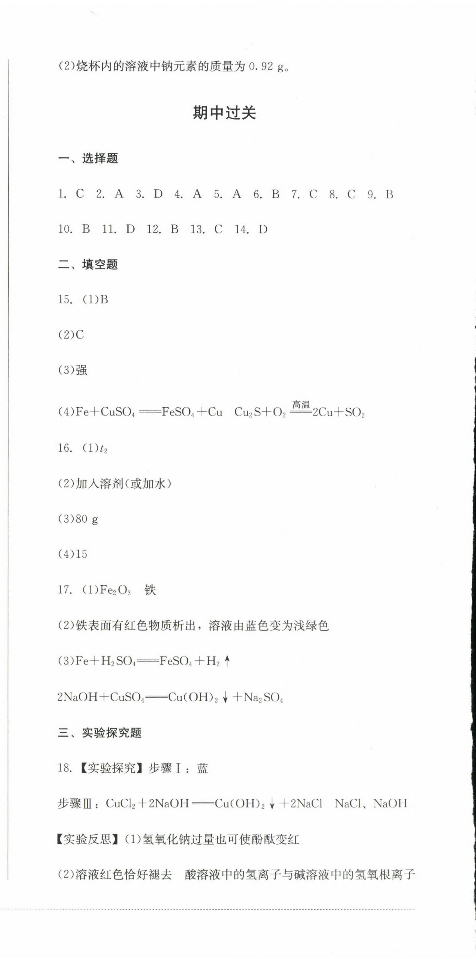 2023年精练过关四川教育出版社九年级化学下册人教版 第6页