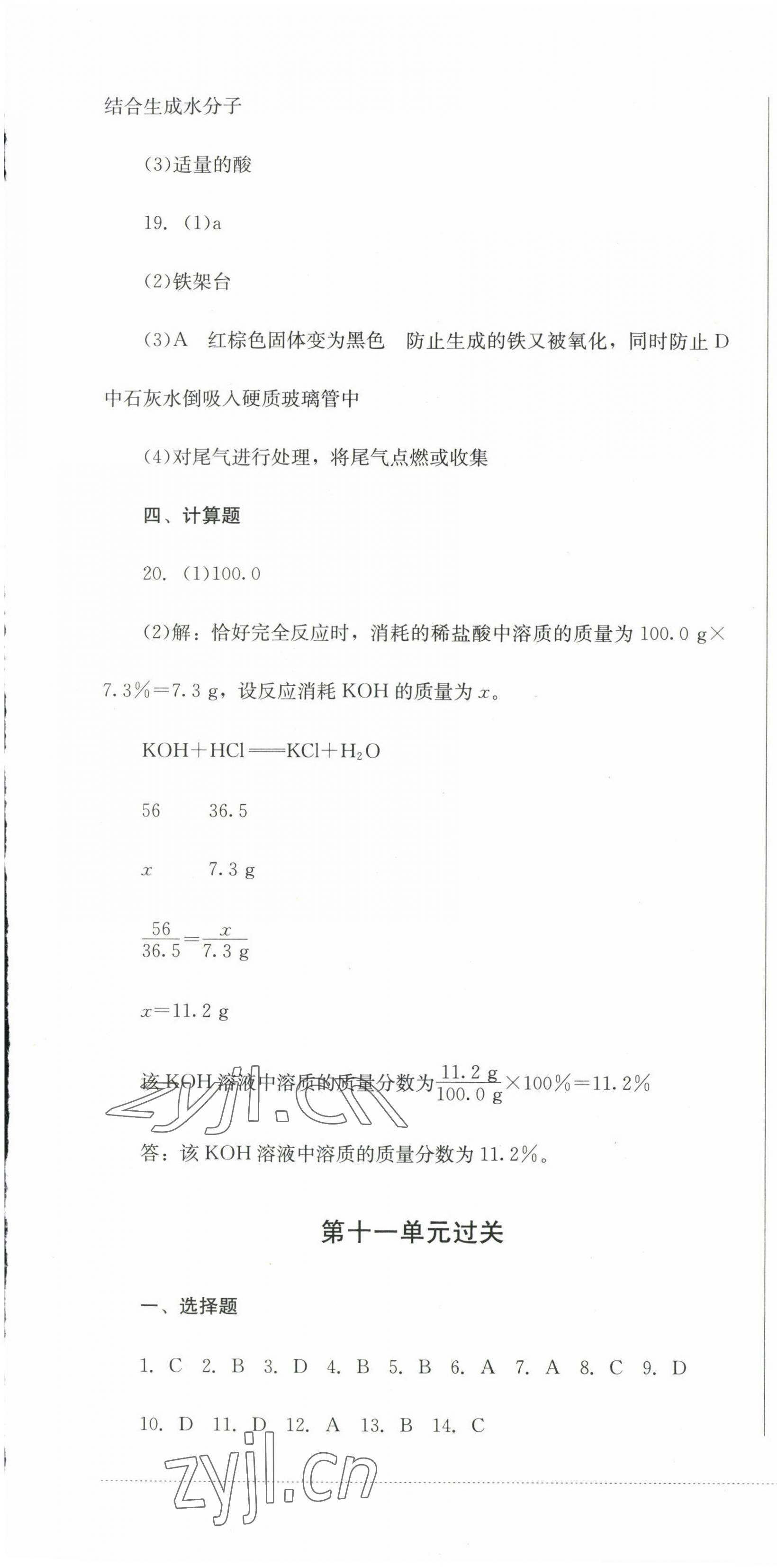 2023年精练过关四川教育出版社九年级化学下册人教版 第7页