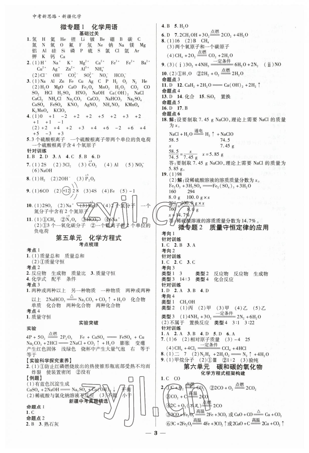 2023年中考新思路化學新疆專版 參考答案第3頁