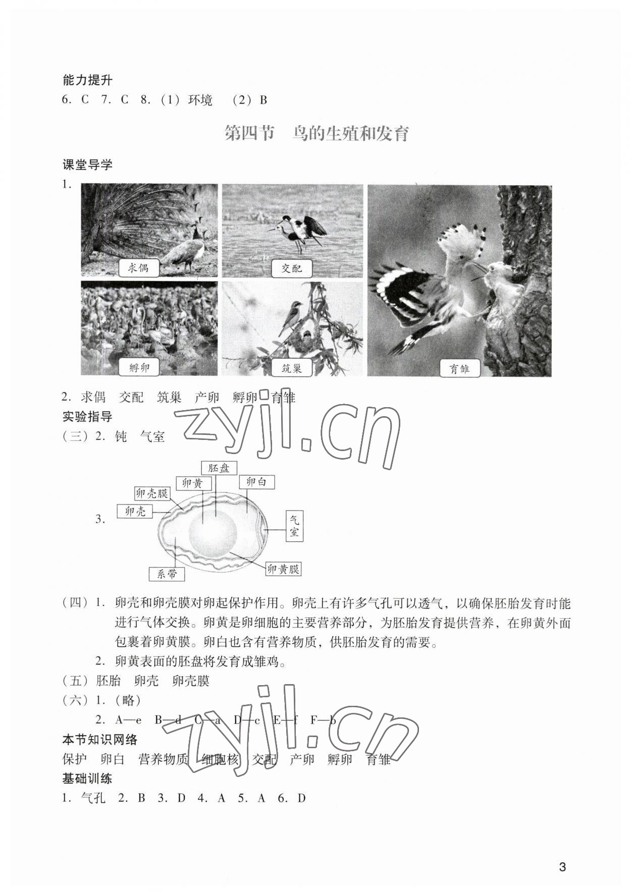 2023年陽光學業(yè)評價八年級生物下冊人教版 參考答案第3頁