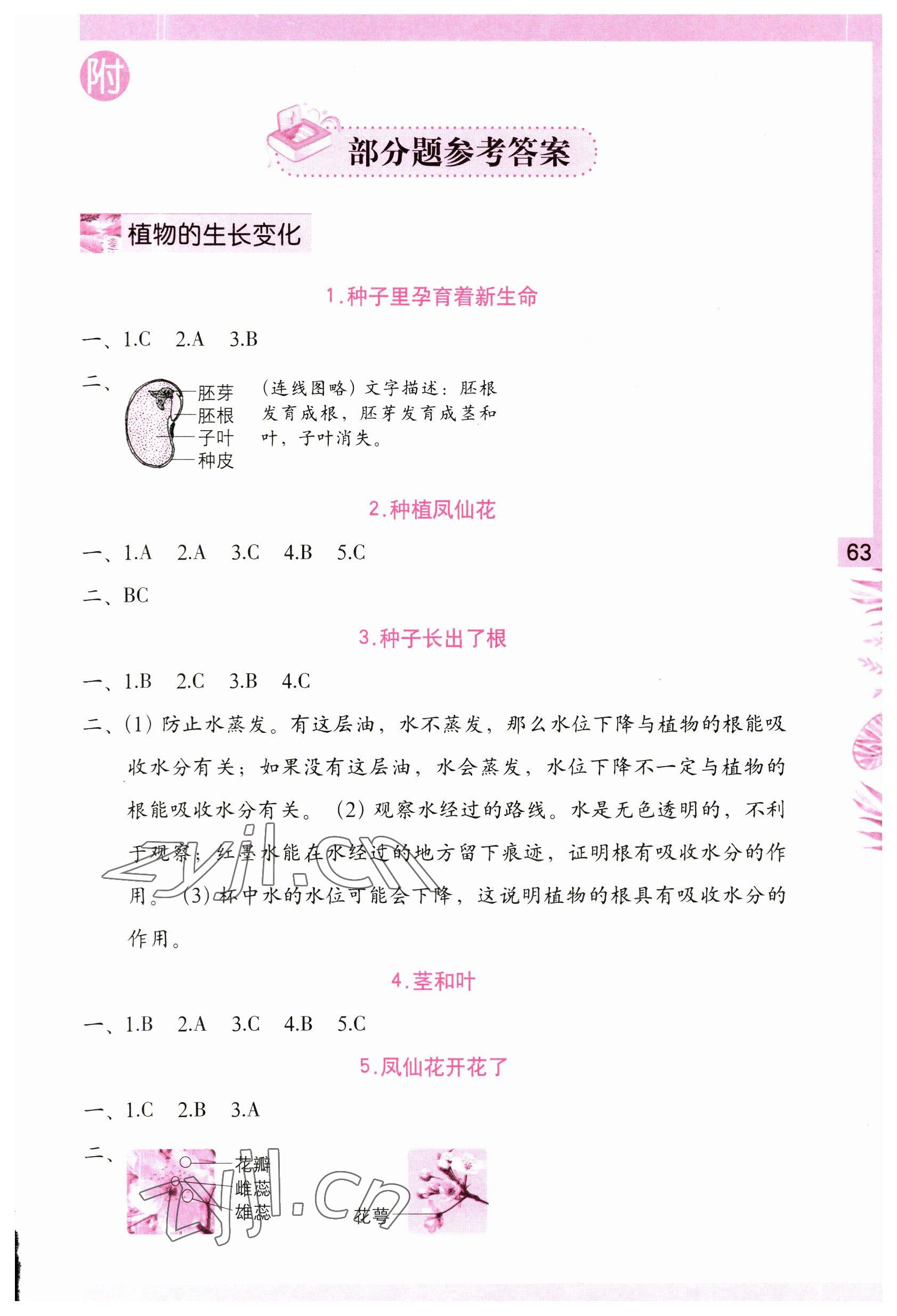 2023年學(xué)習(xí)與鞏固四年級(jí)科學(xué)下冊(cè)教科版 第1頁