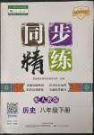 2023年同步精练广东人民出版社八年级历史下册人教版
