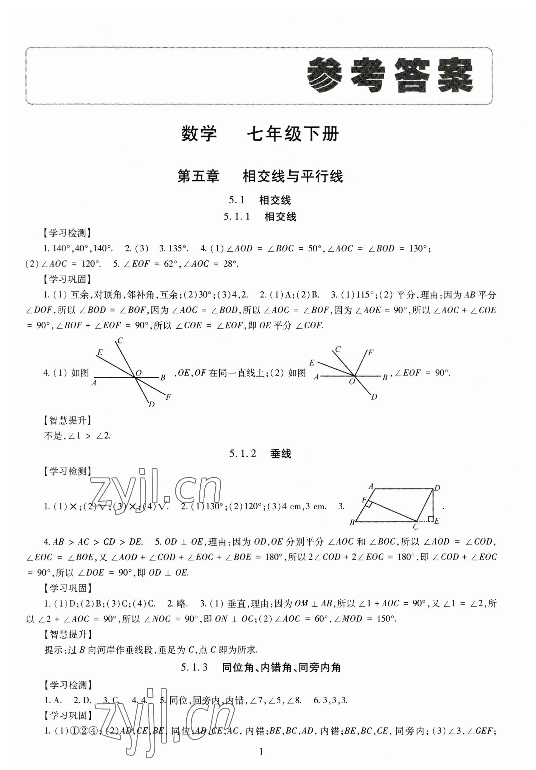 2023年智慧學(xué)習(xí)導(dǎo)學(xué)練七年級(jí)數(shù)學(xué)下冊(cè)人教版 第1頁(yè)