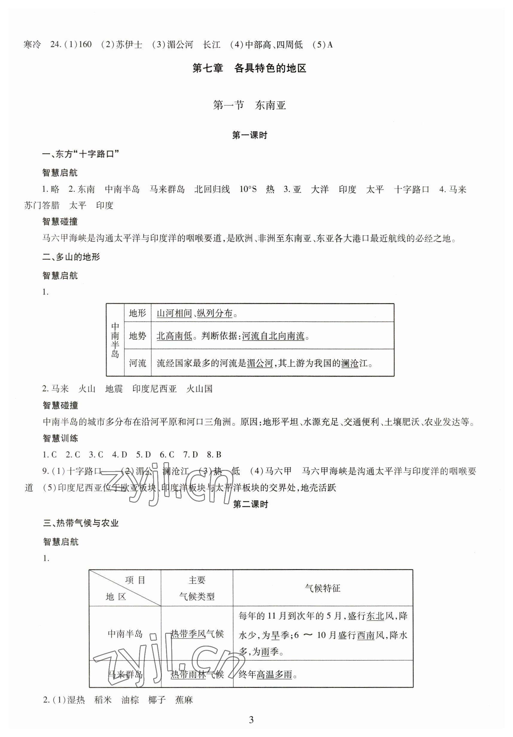 2023年智慧學(xué)習(xí)導(dǎo)學(xué)練七年級地理下冊 第3頁