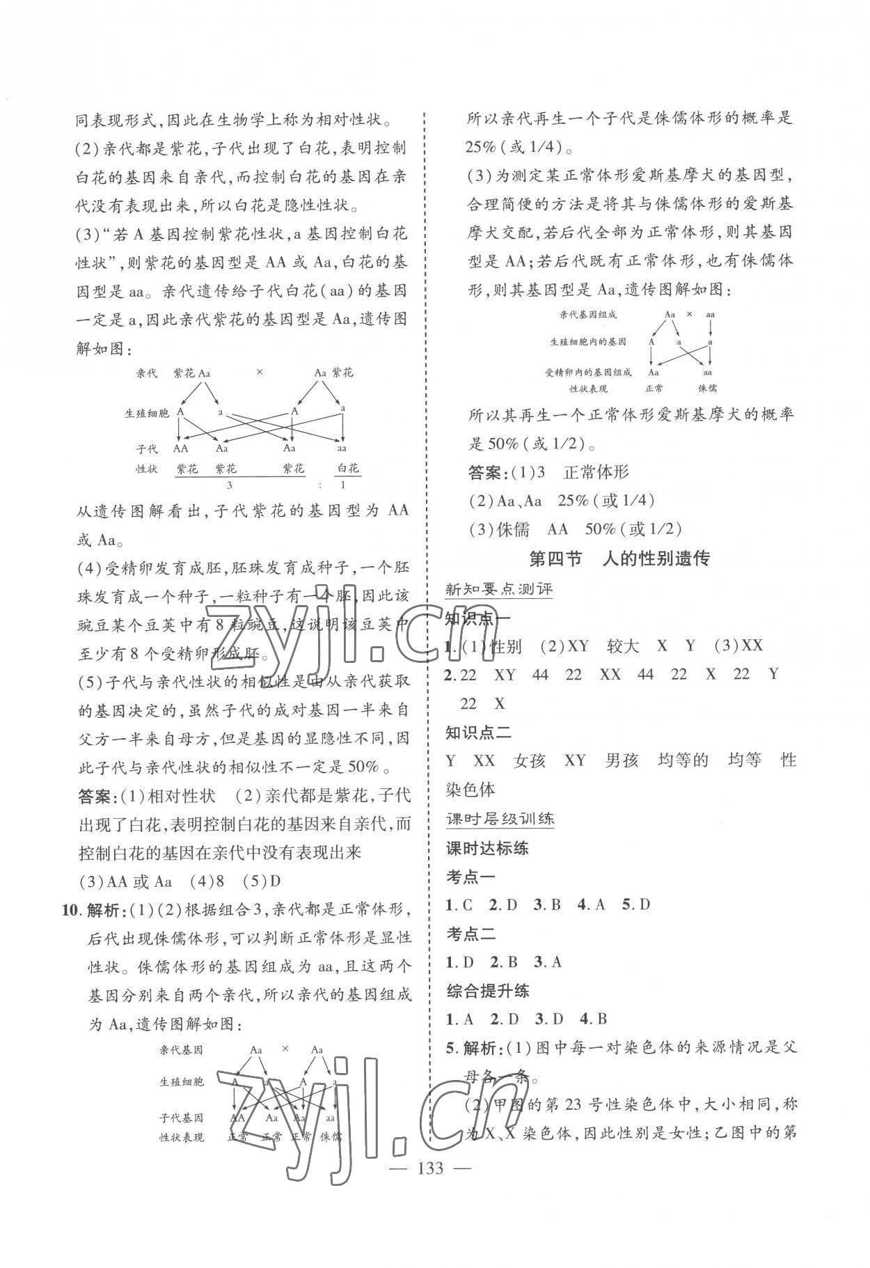 2023年新課堂學習與探究八年級生物下冊濟南版 參考答案第7頁