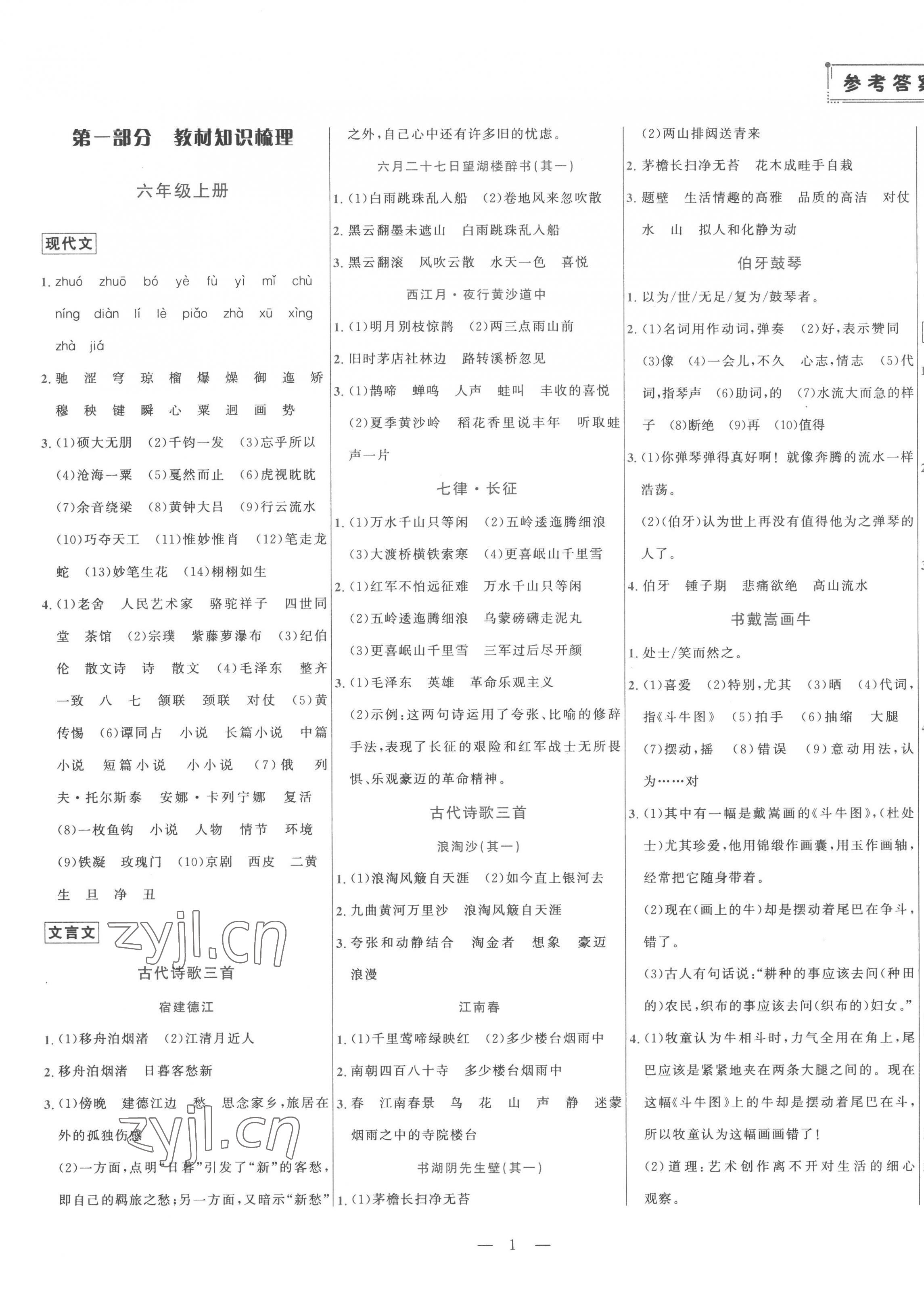 2023年初中學(xué)業(yè)水平考試總復(fù)習(xí)語文泰安專版 第1頁