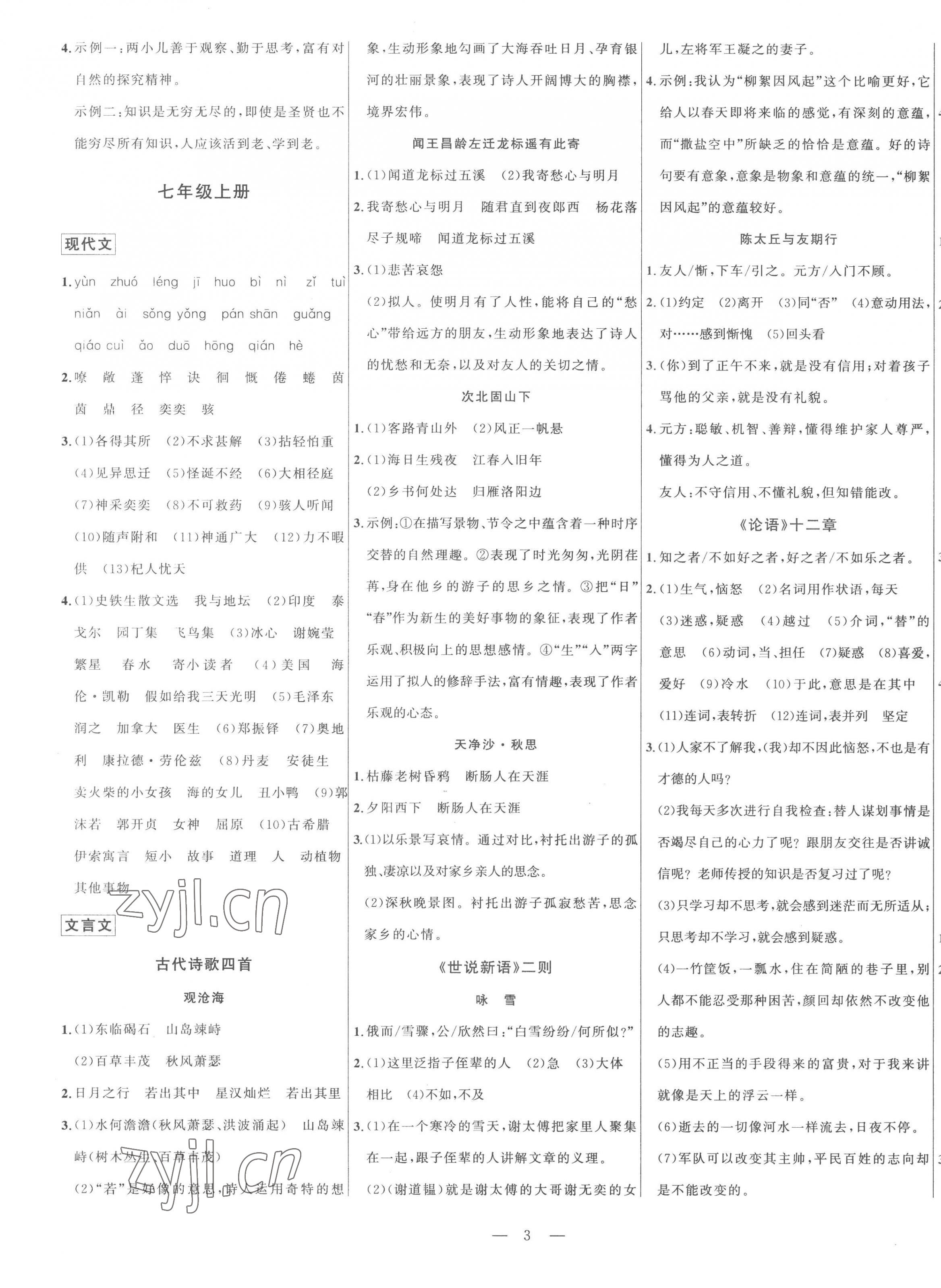 2023年初中學(xué)業(yè)水平考試總復(fù)習(xí)語文泰安專版 第3頁