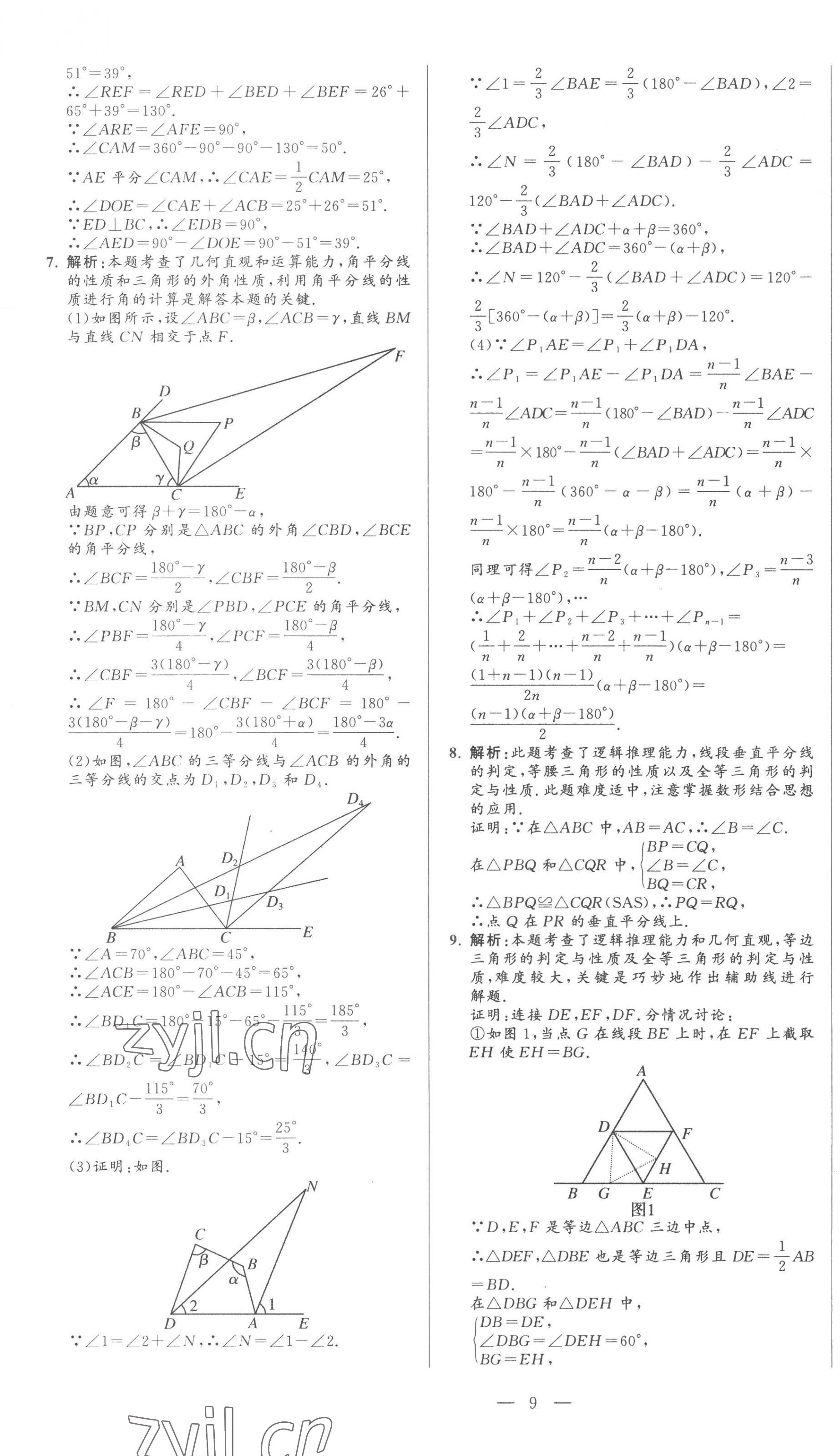 2023年初中學(xué)業(yè)水平考試總復(fù)習(xí)數(shù)學(xué)泰安專版 第9頁