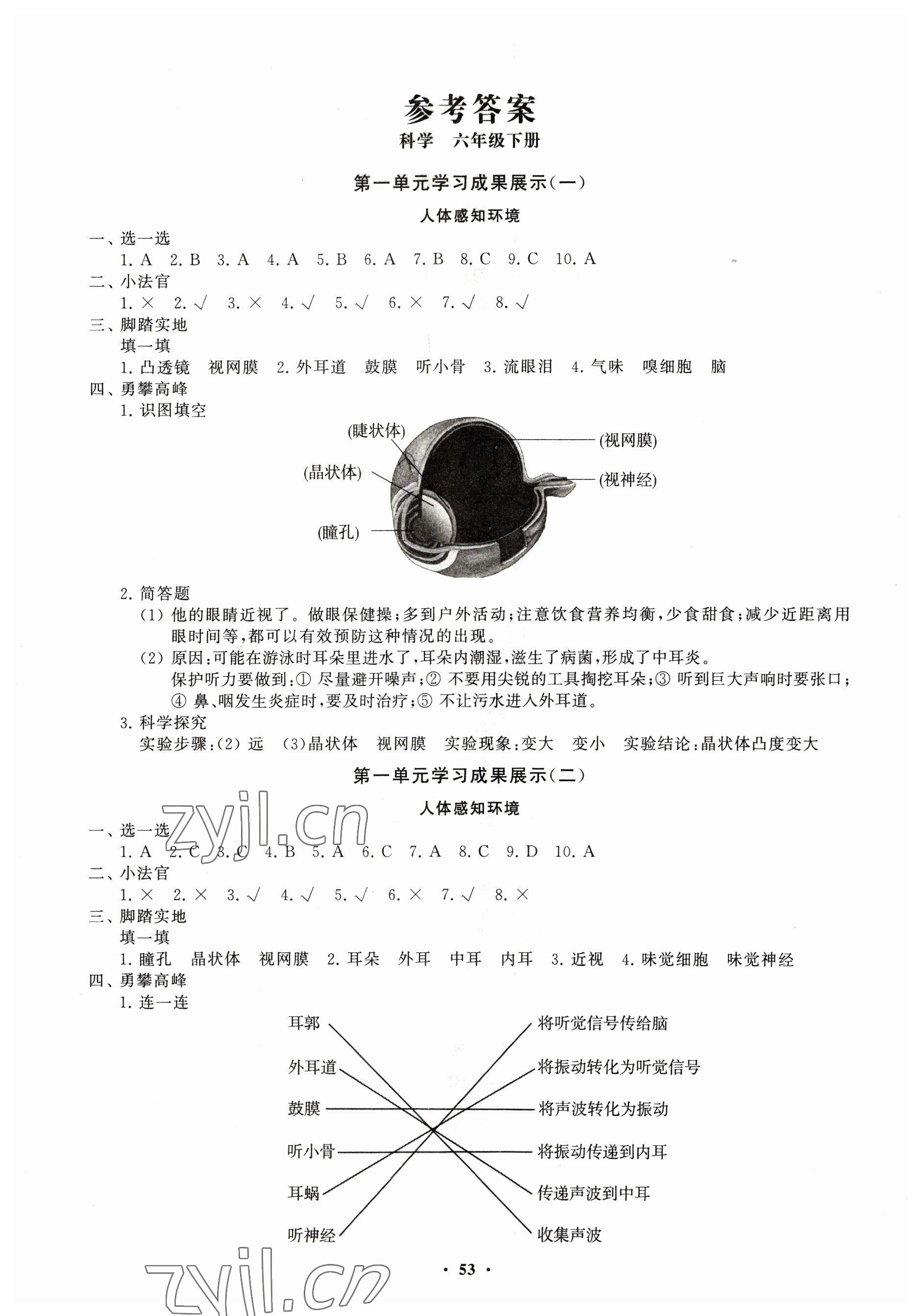 2023年同步练习册分层指导六年级科学下册青岛版 第1页