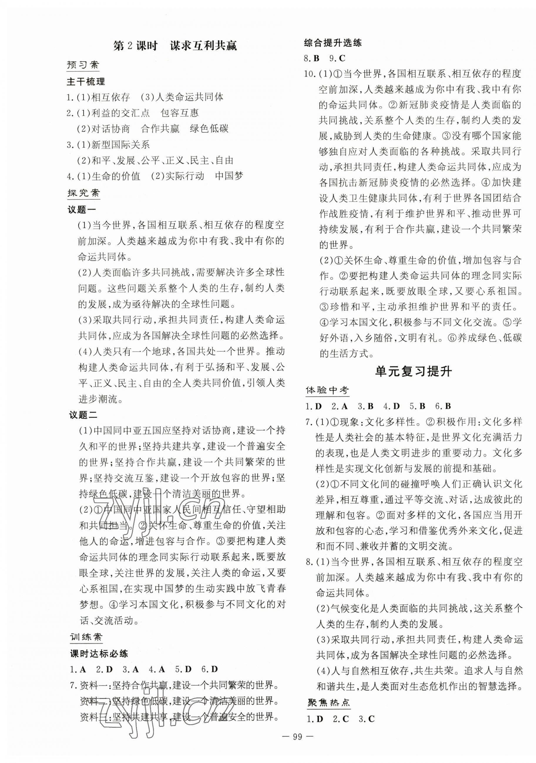 2023年初中同步学习导与练导学探究案九年级道德与法治下册人教版 第3页