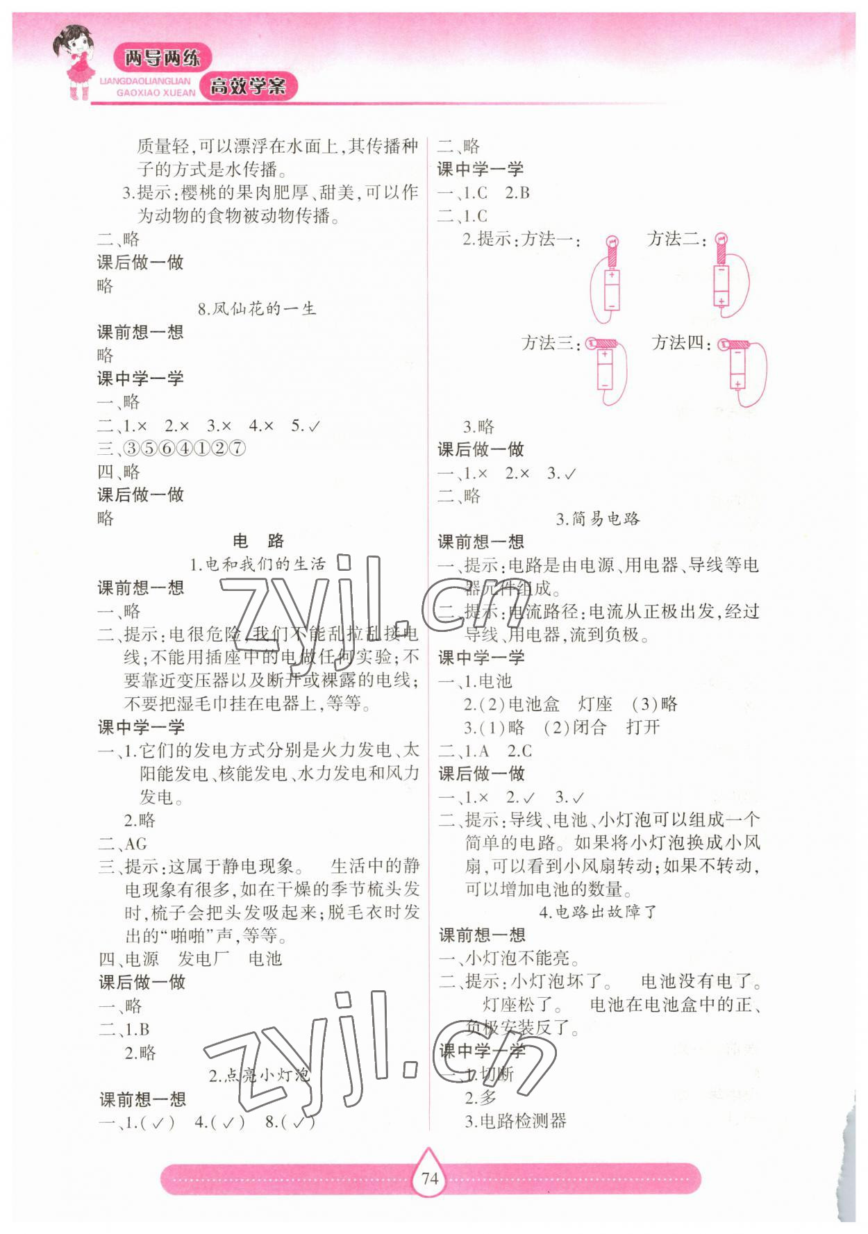 2023年新课标两导两练高效学案四年级科学下册教科版 第2页