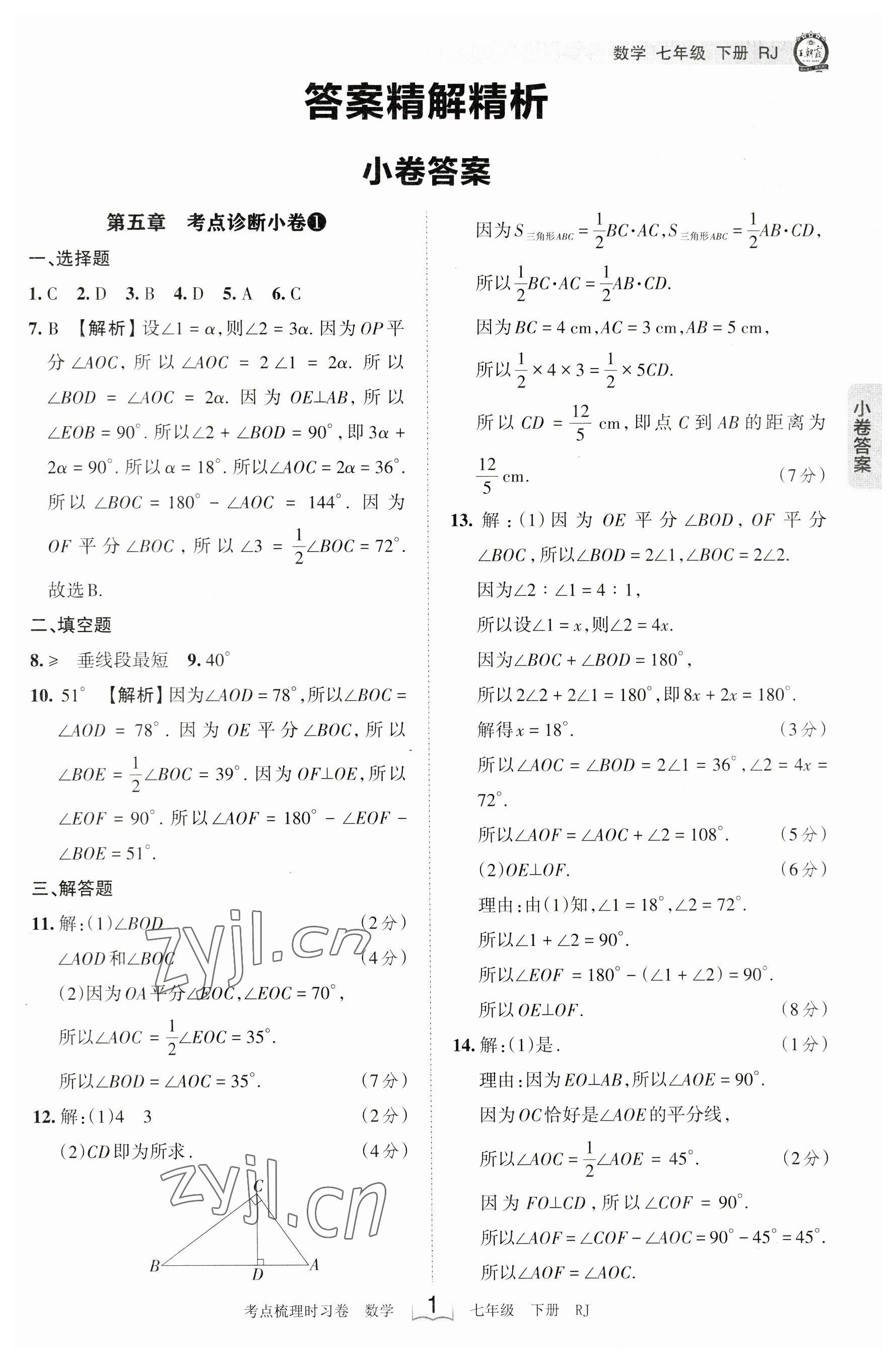 2023年王朝霞考點梳理時習(xí)卷七年級數(shù)學(xué)下冊人教版 參考答案第1頁