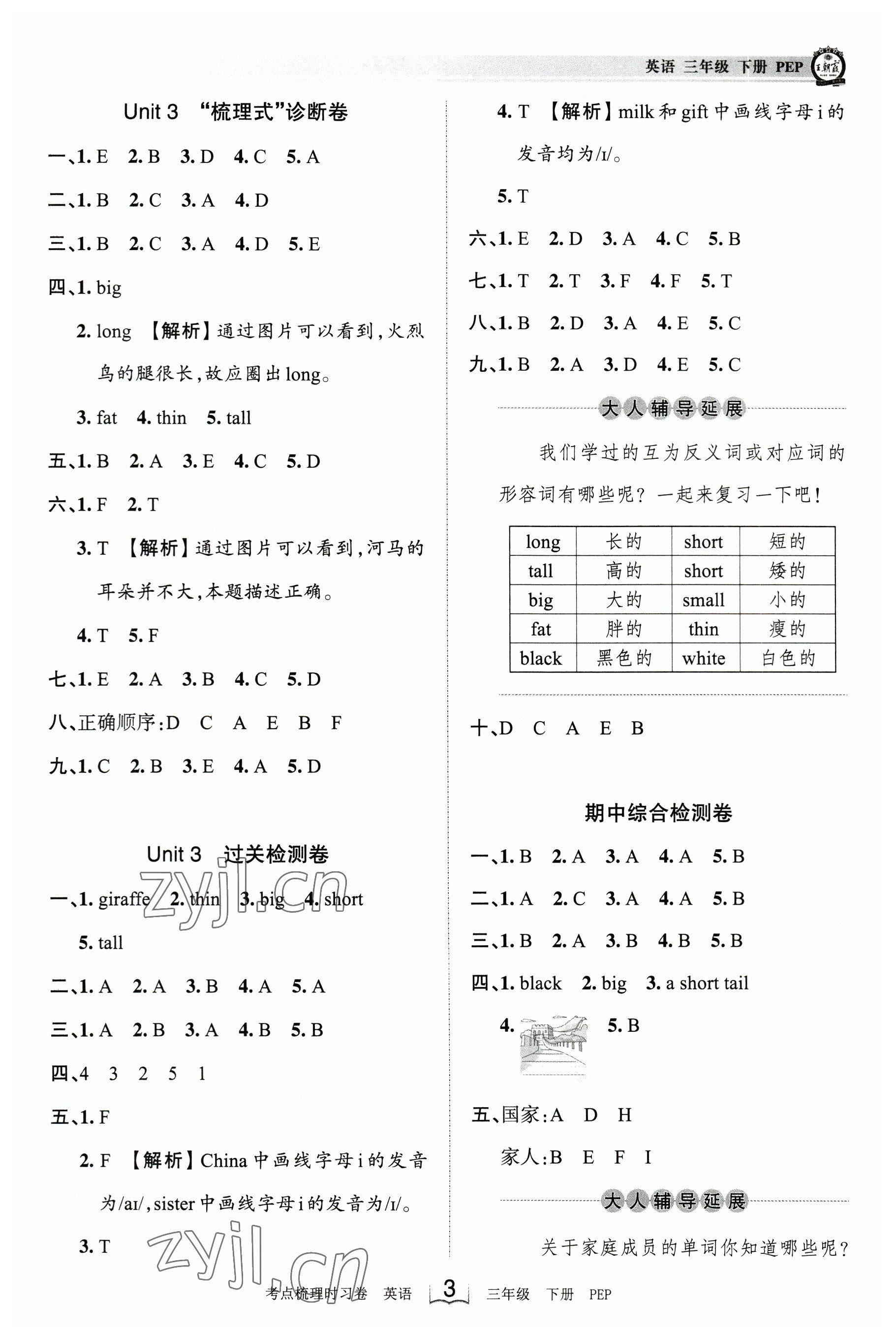 2023年王朝霞考点梳理时习卷三年级英语下册人教版 参考答案第3页