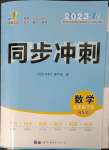 2023年同步?jīng)_刺七年級數(shù)學下冊北師大版