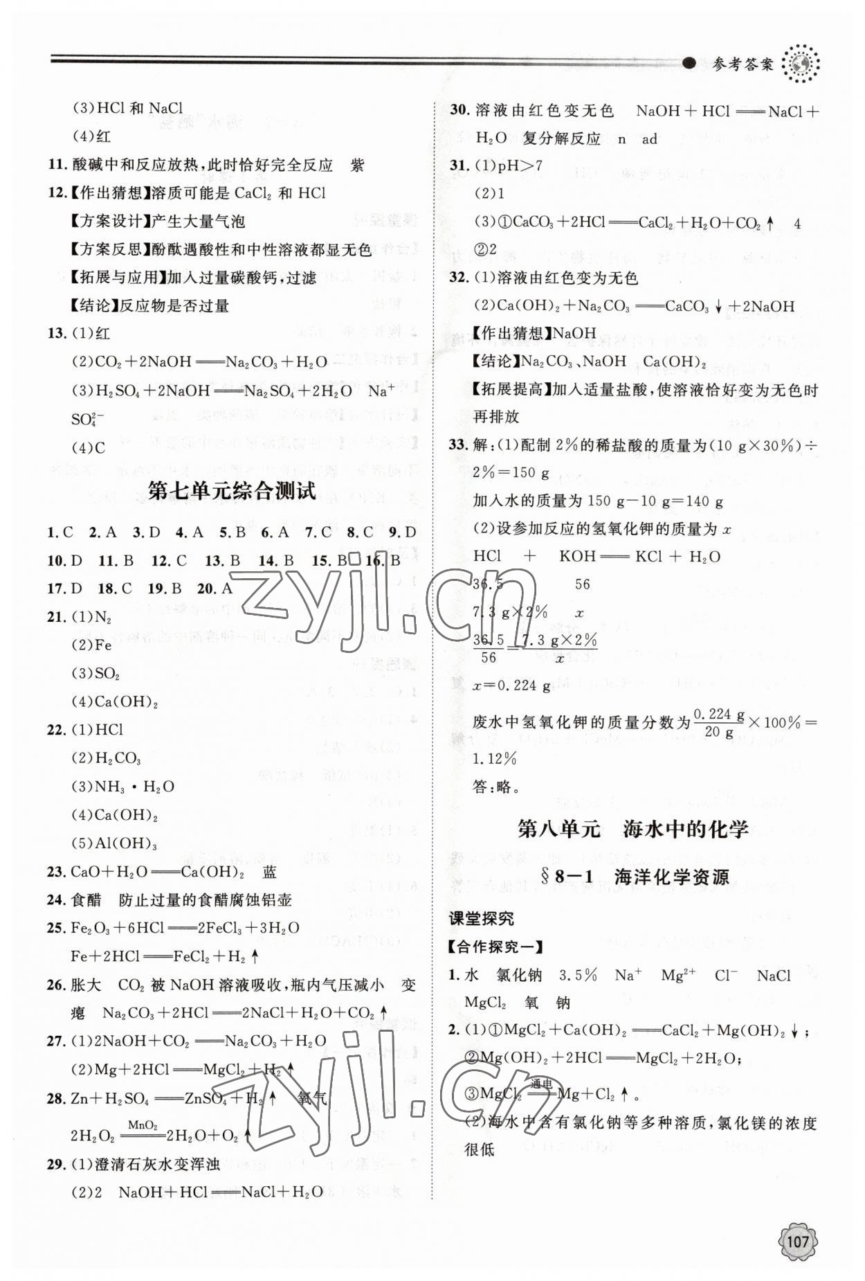 2023年初中同步練習冊九年級化學下冊魯教版明天出版社 第5頁