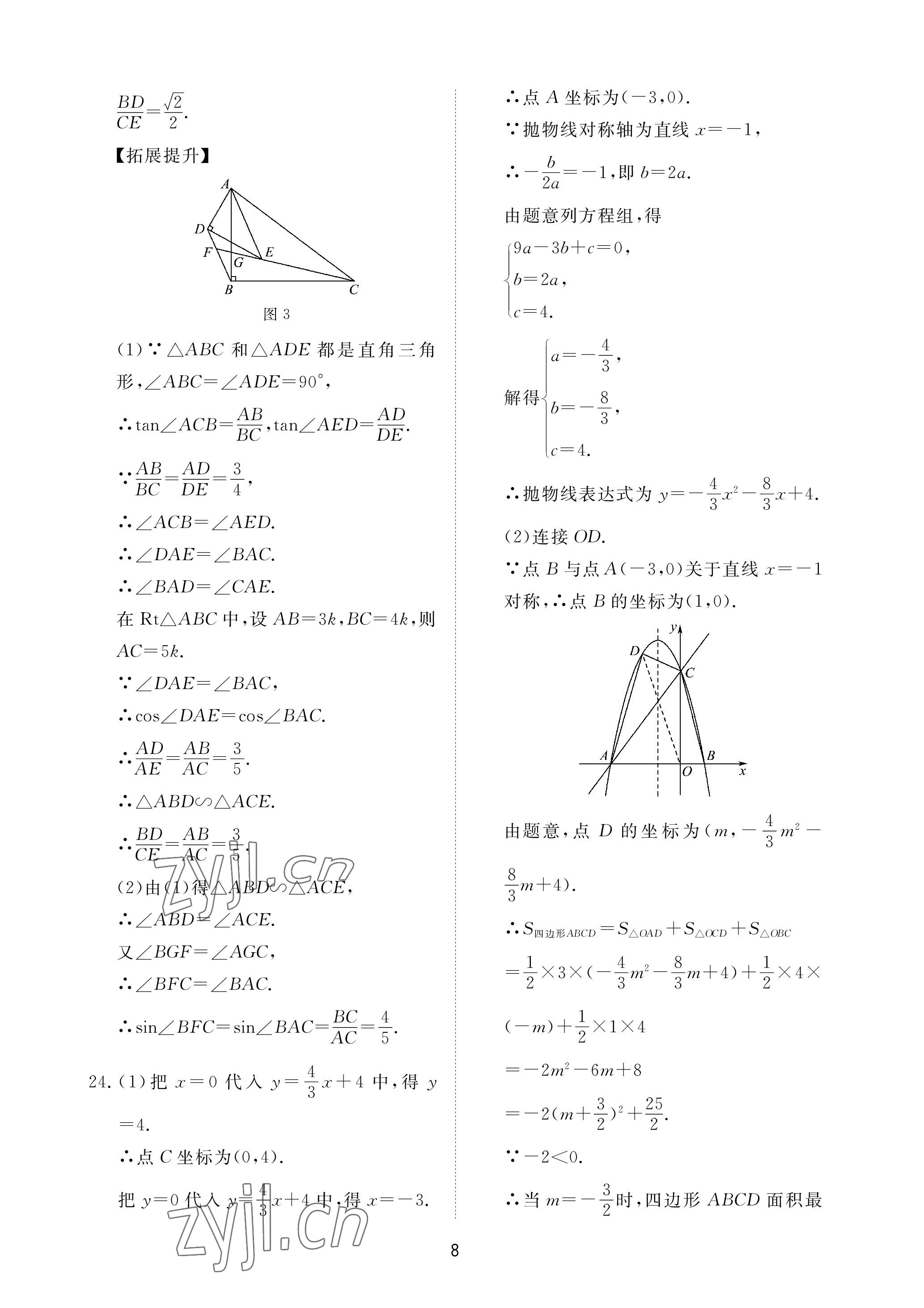 2023年同步練習(xí)冊配套檢測卷九年級數(shù)學(xué)下冊魯教版煙臺專版54制 參考答案第8頁