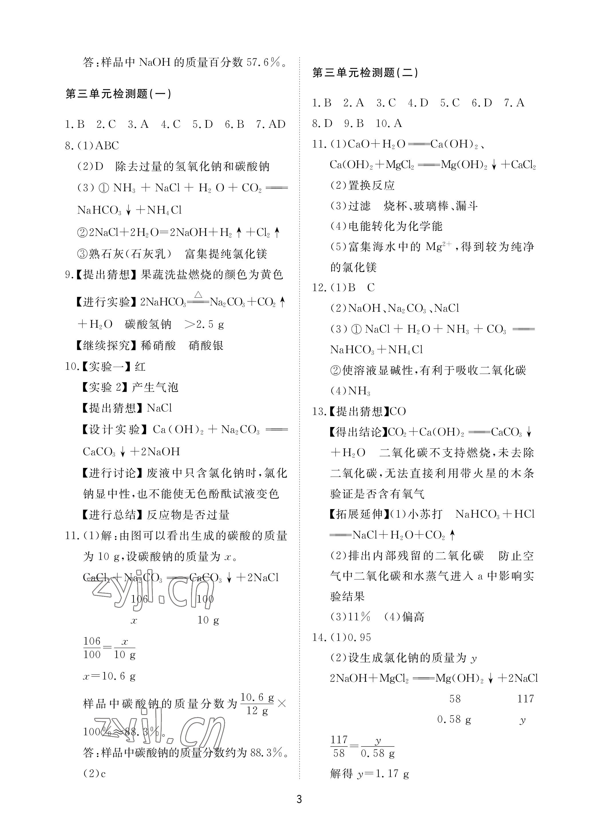 2023年同步練習冊配套檢測卷九年級化學下冊魯教版煙臺專版54制 參考答案第3頁