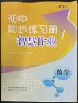 2023年同步練習冊智慧作業(yè)八年級數(shù)學下冊人教版