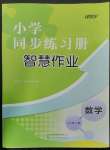 2023年同步練習冊智慧作業(yè)六年級數學下冊人教版
