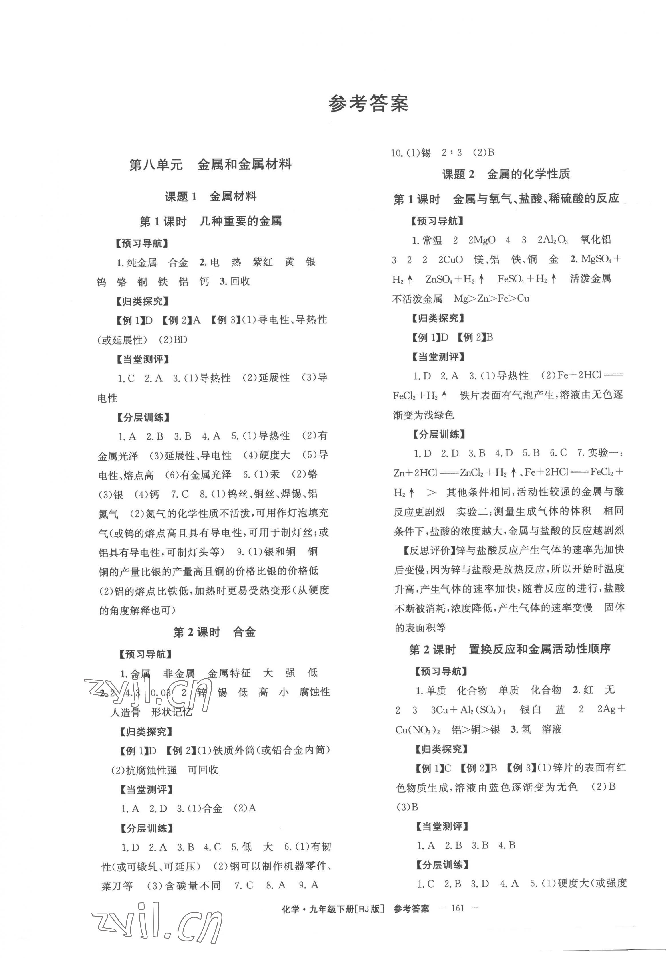 2023年全效學(xué)習(xí)同步學(xué)練測九年級化學(xué)下冊人教版 第1頁