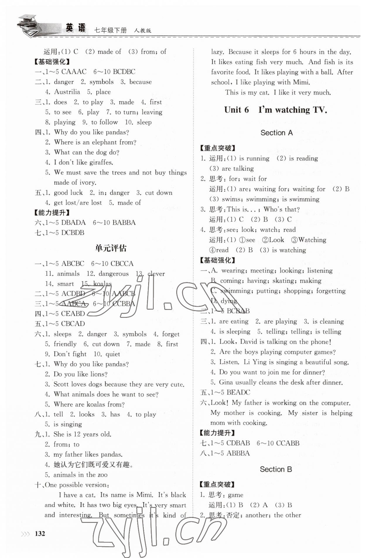 2023年同步練習冊七年級英語下冊人教版山東科學技術(shù)出版社 第6頁