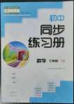 2023年同步練習(xí)冊大象出版社七年級數(shù)學(xué)下冊人教版