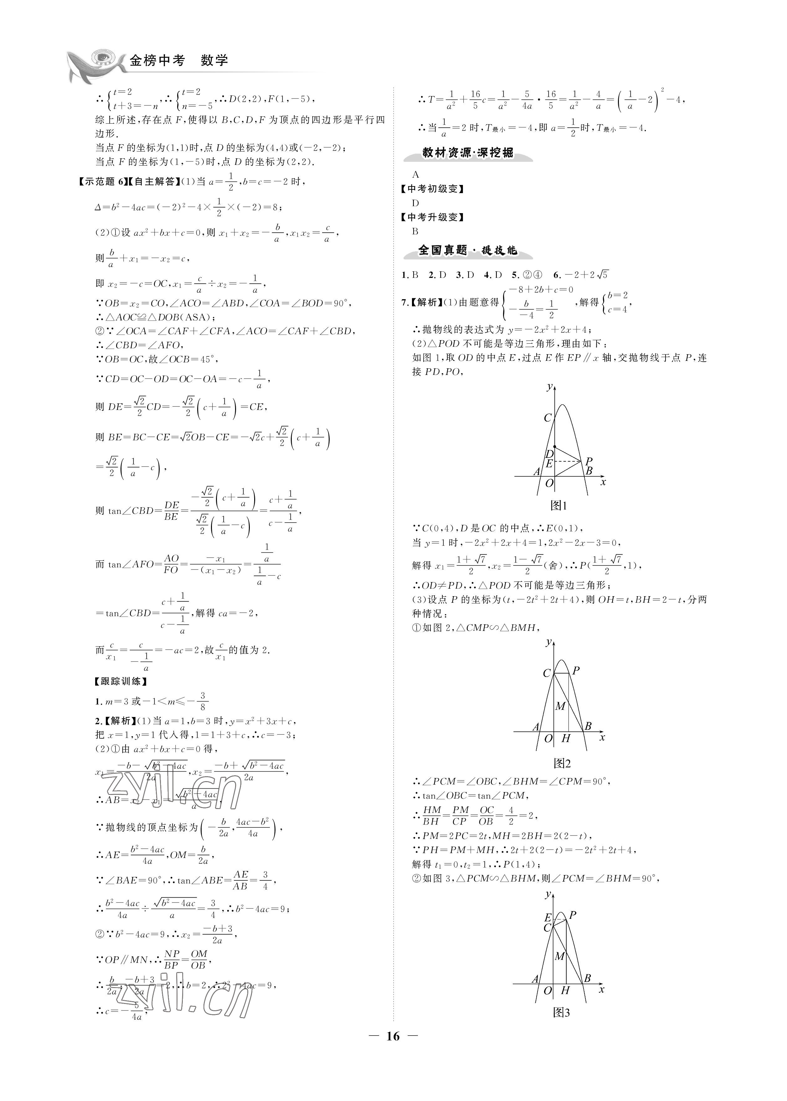 2023年世紀(jì)金榜金榜中考數(shù)學(xué)湘教版邵陽專版 參考答案第16頁