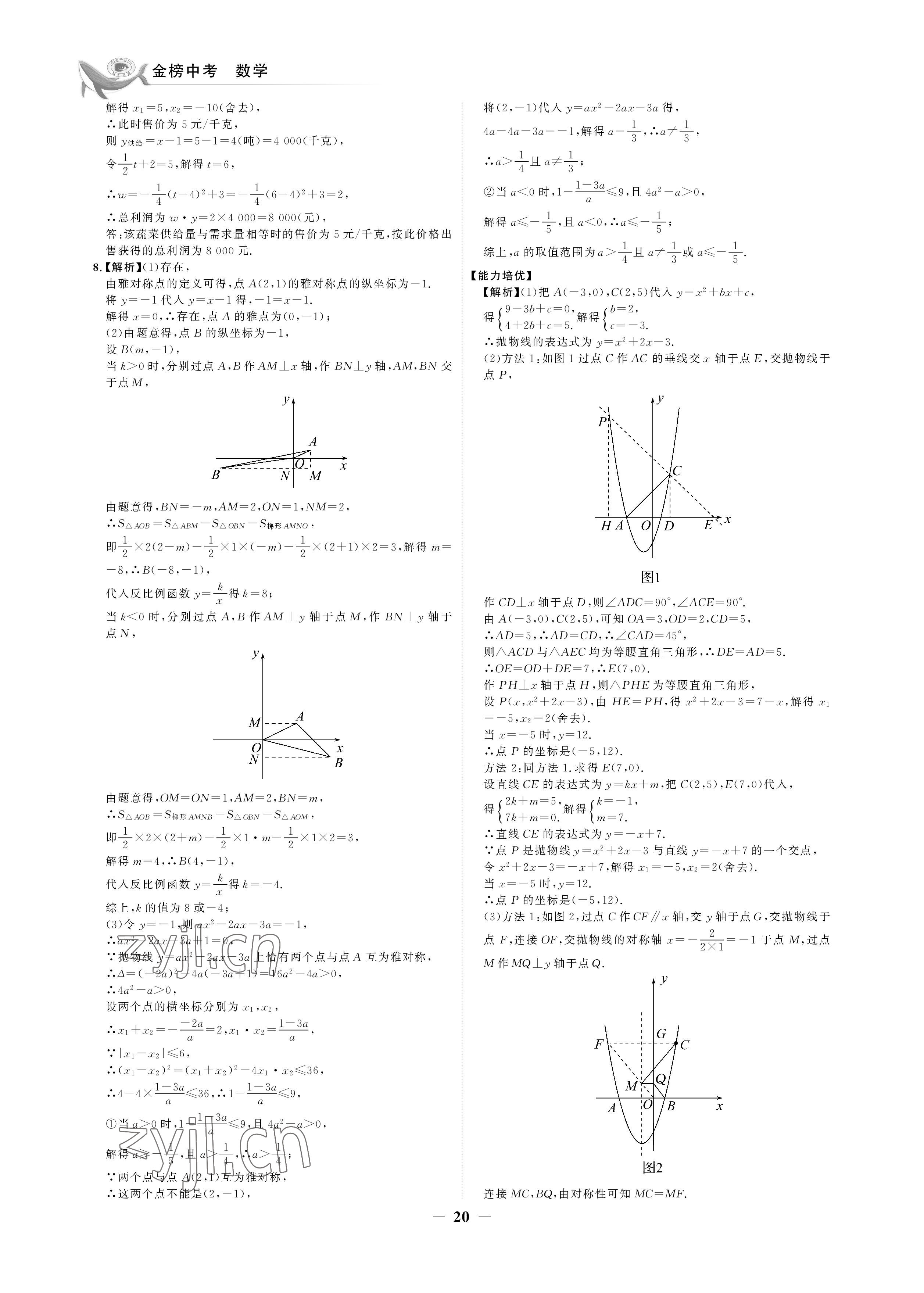 2023年世紀(jì)金榜金榜中考數(shù)學(xué)湘教版邵陽專版 參考答案第20頁