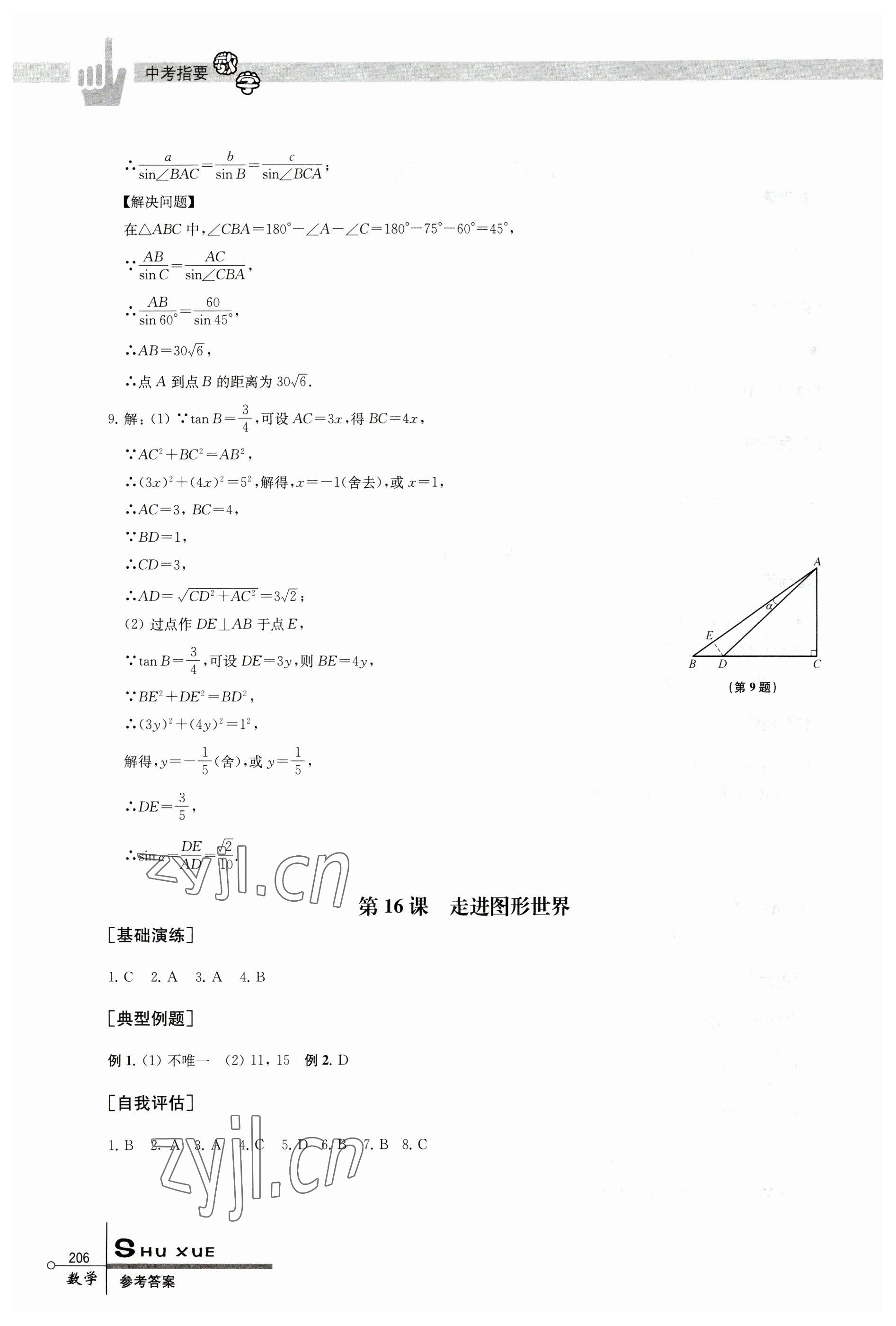 2023年中考指要数学 第10页