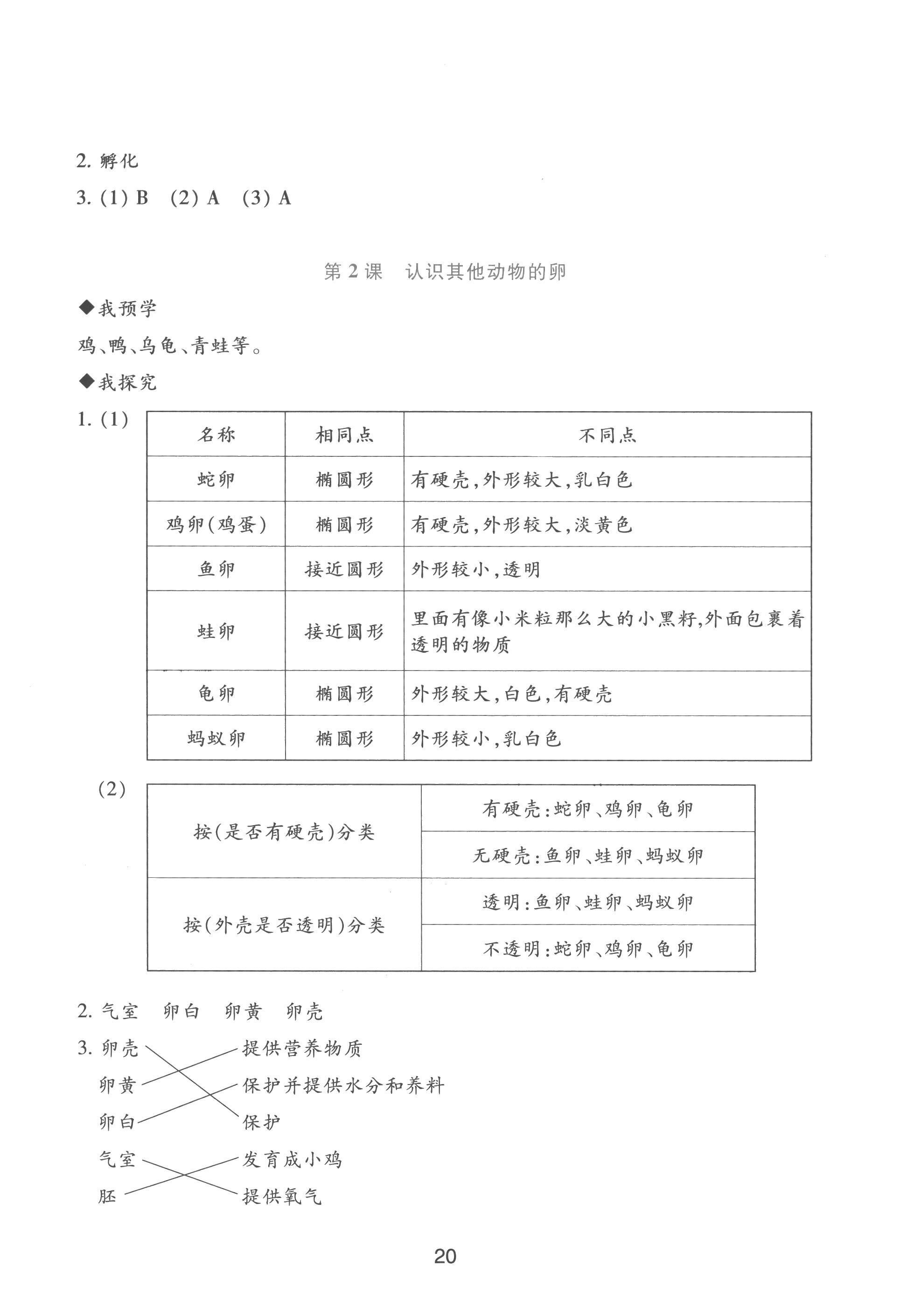 2023年预学与导学三年级科学下册教科版 参考答案第4页