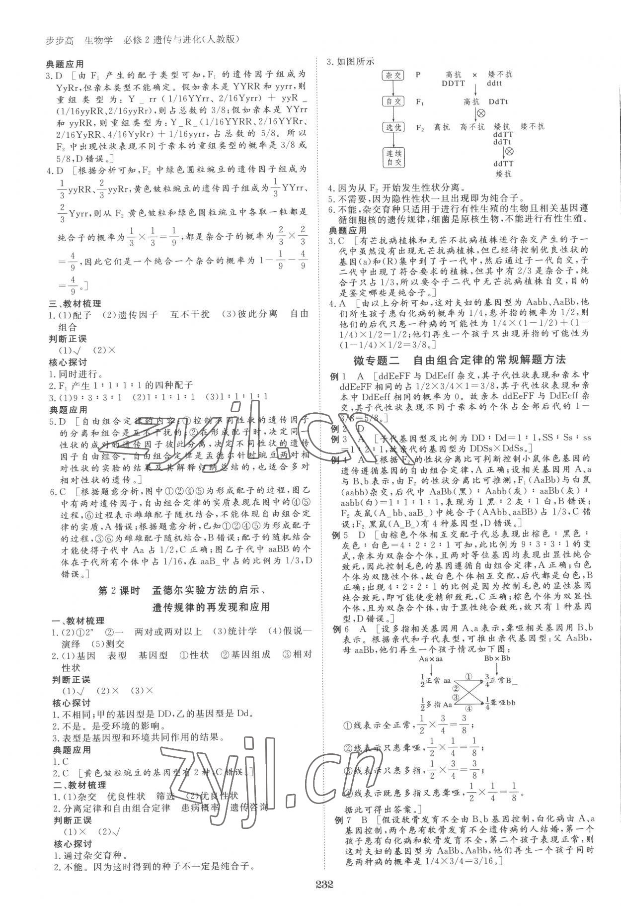 2023年步步高學習筆記高中生物必修2人教版 參考答案第3頁