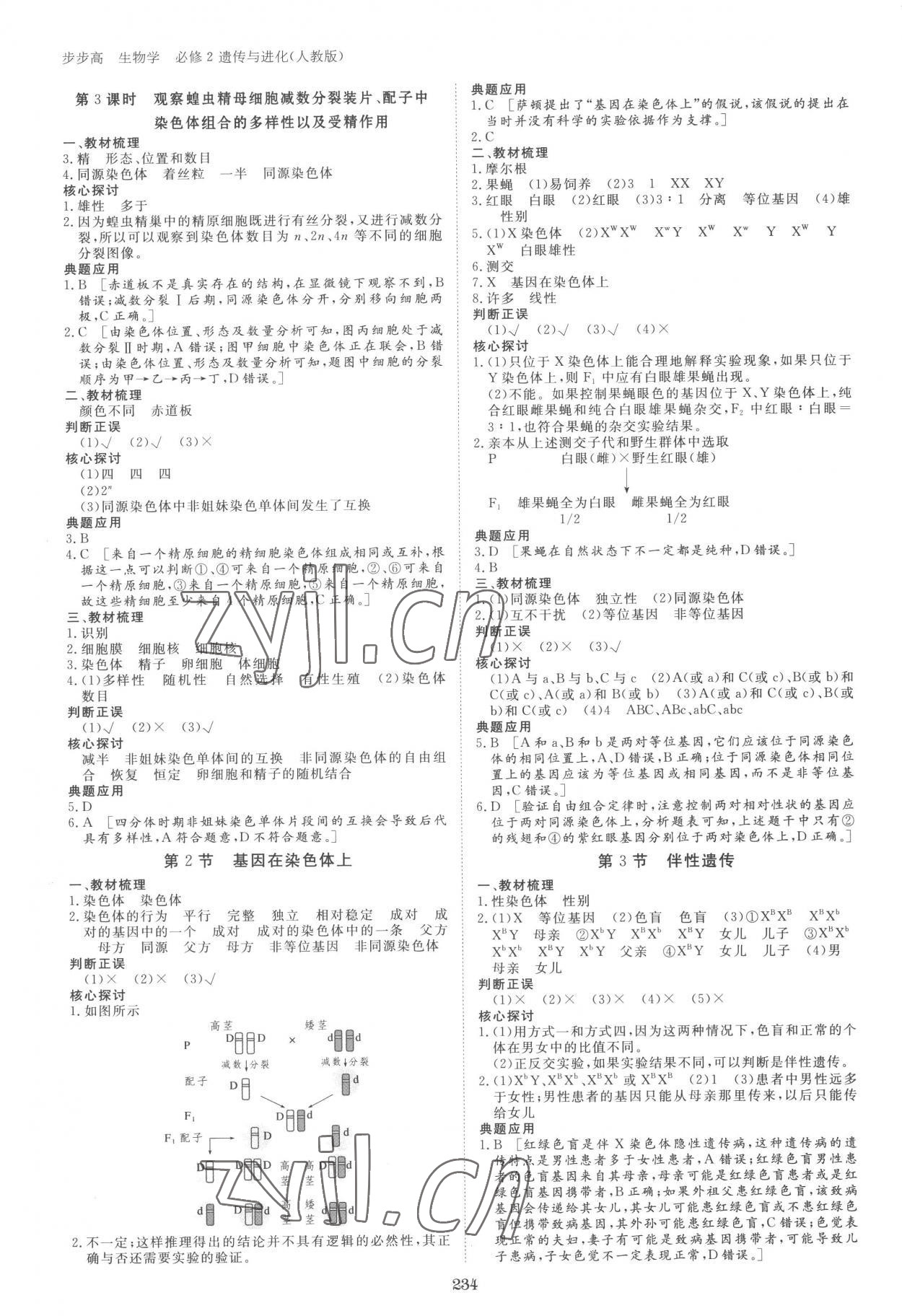 2023年步步高學(xué)習(xí)筆記高中生物必修2人教版 參考答案第5頁