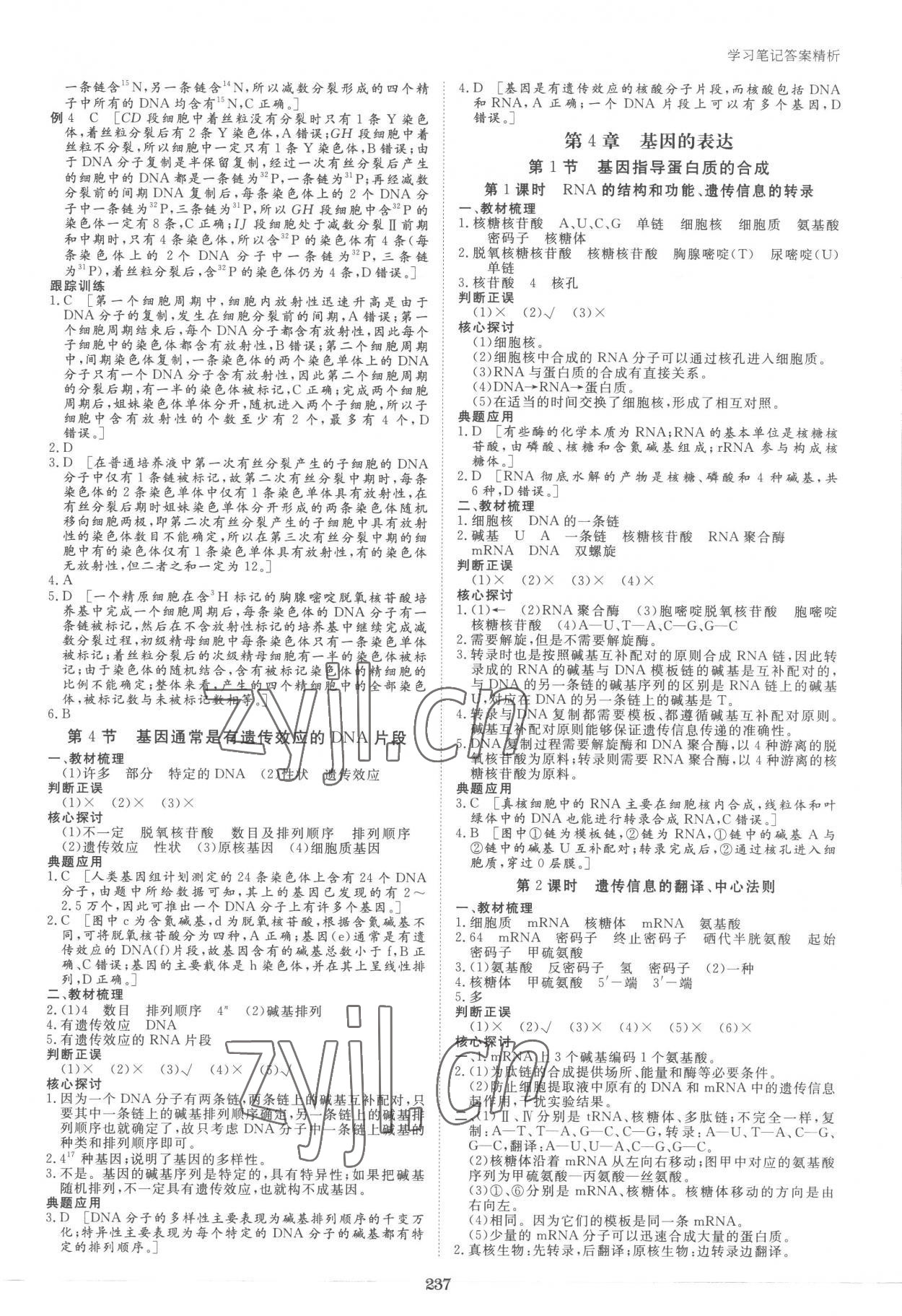 2023年步步高學(xué)習(xí)筆記高中生物必修2人教版 參考答案第8頁