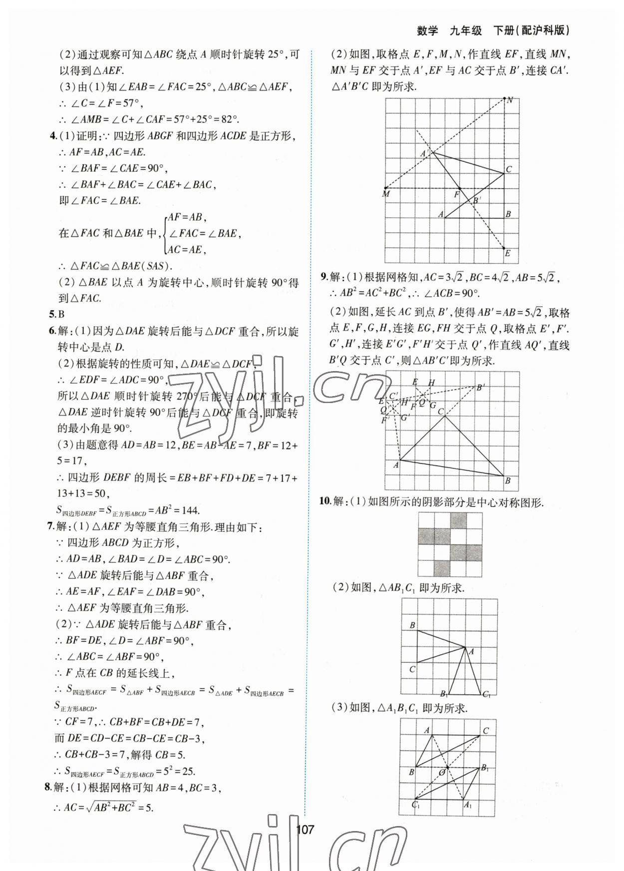 2023年新編基礎(chǔ)訓(xùn)練黃山書社九年級數(shù)學(xué)下冊滬科版 第3頁