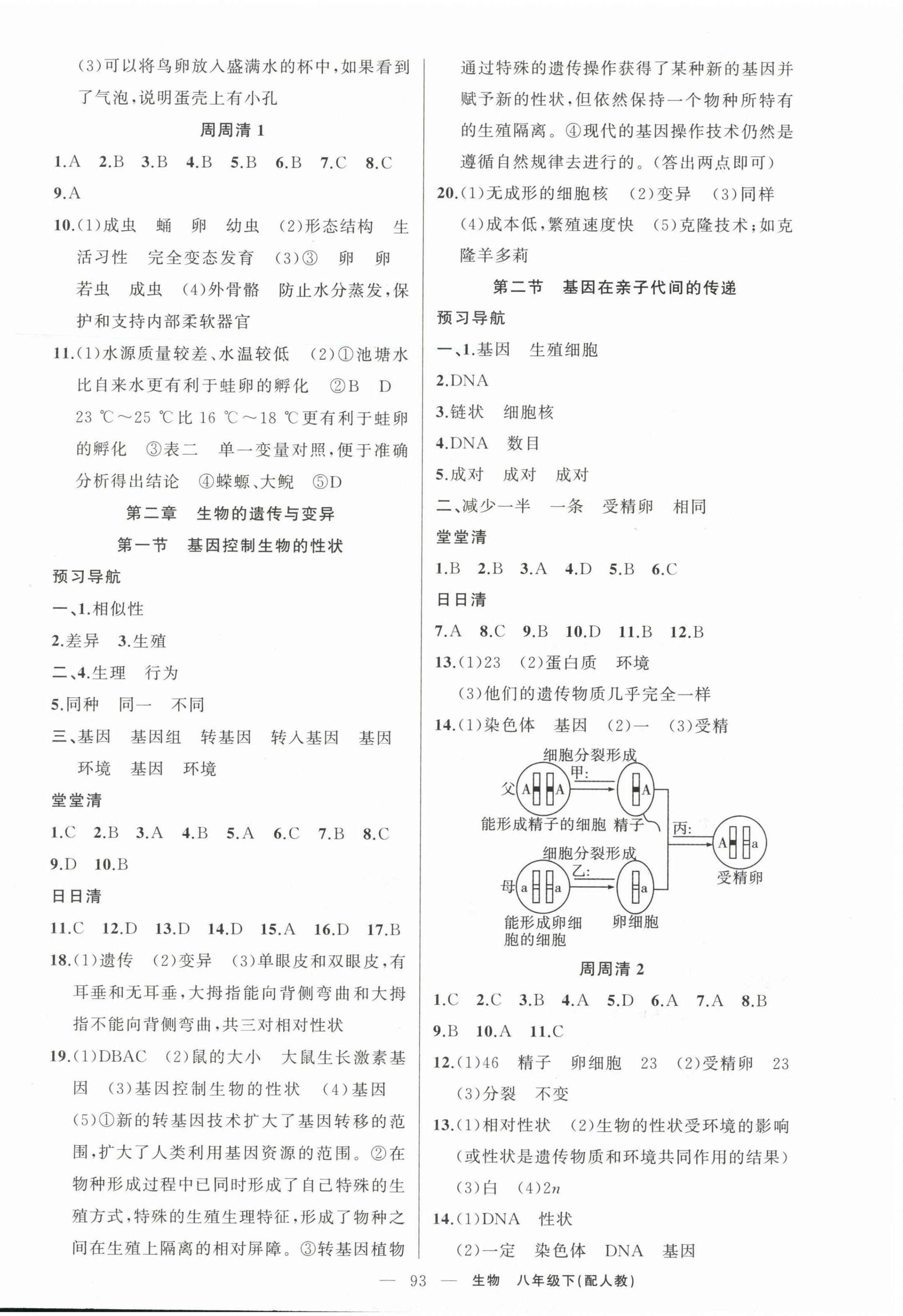 2023年四清導航八年級生物下冊人教版 第2頁