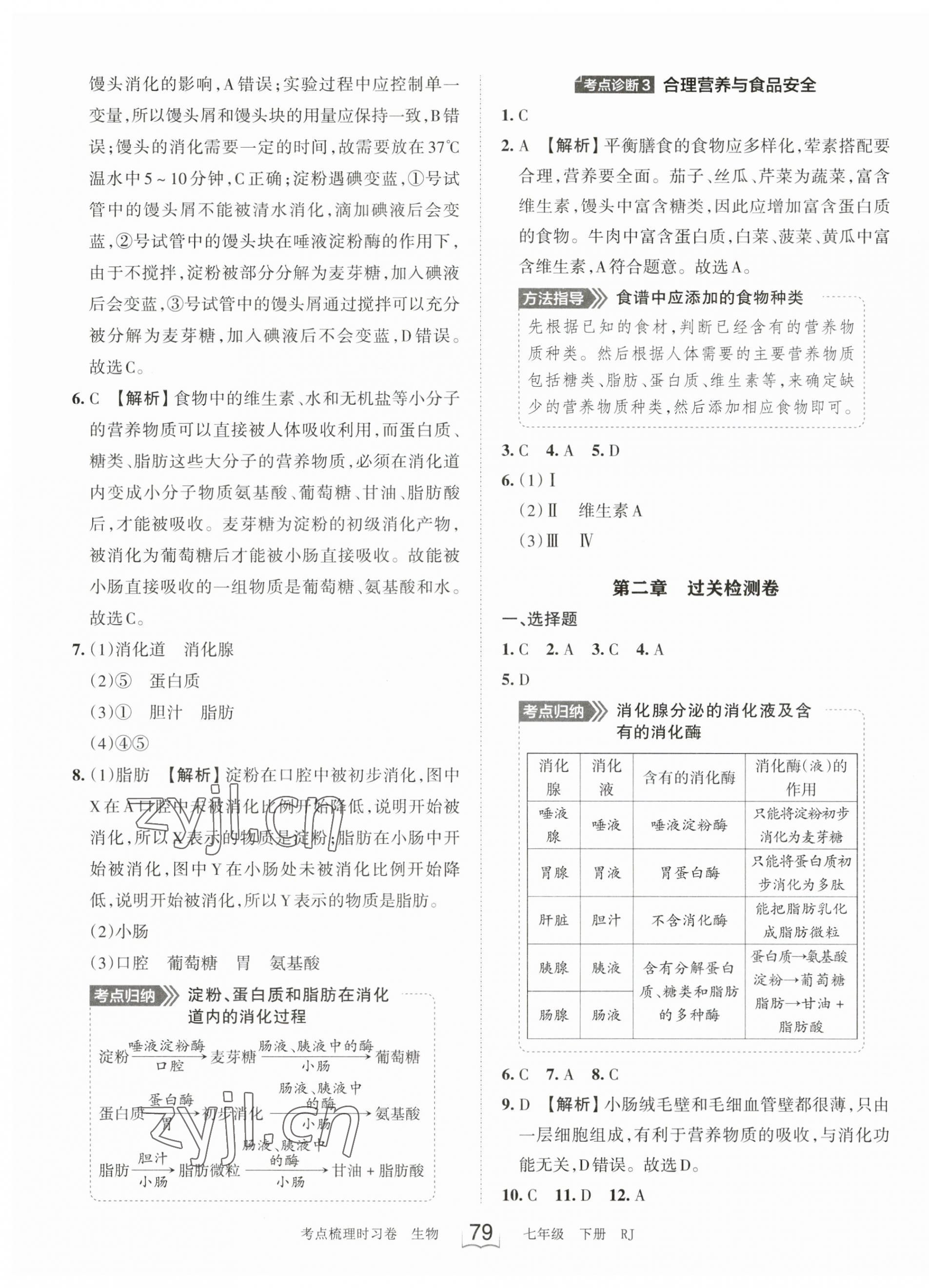 2023年王朝霞考點梳理時習(xí)卷七年級生物下冊人教版 第3頁