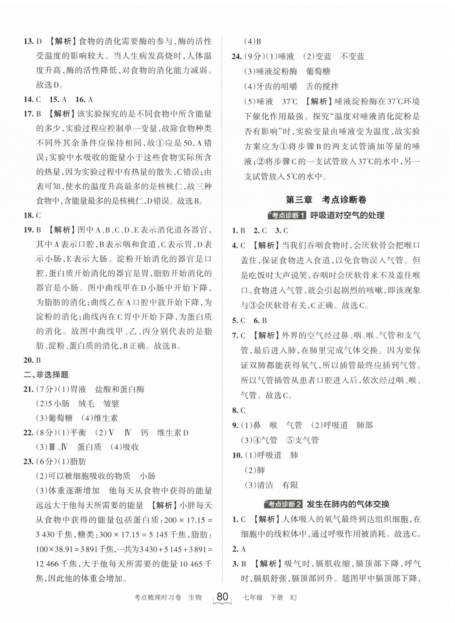 2023年王朝霞考點(diǎn)梳理時(shí)習(xí)卷七年級(jí)生物下冊(cè)人教版 第4頁(yè)