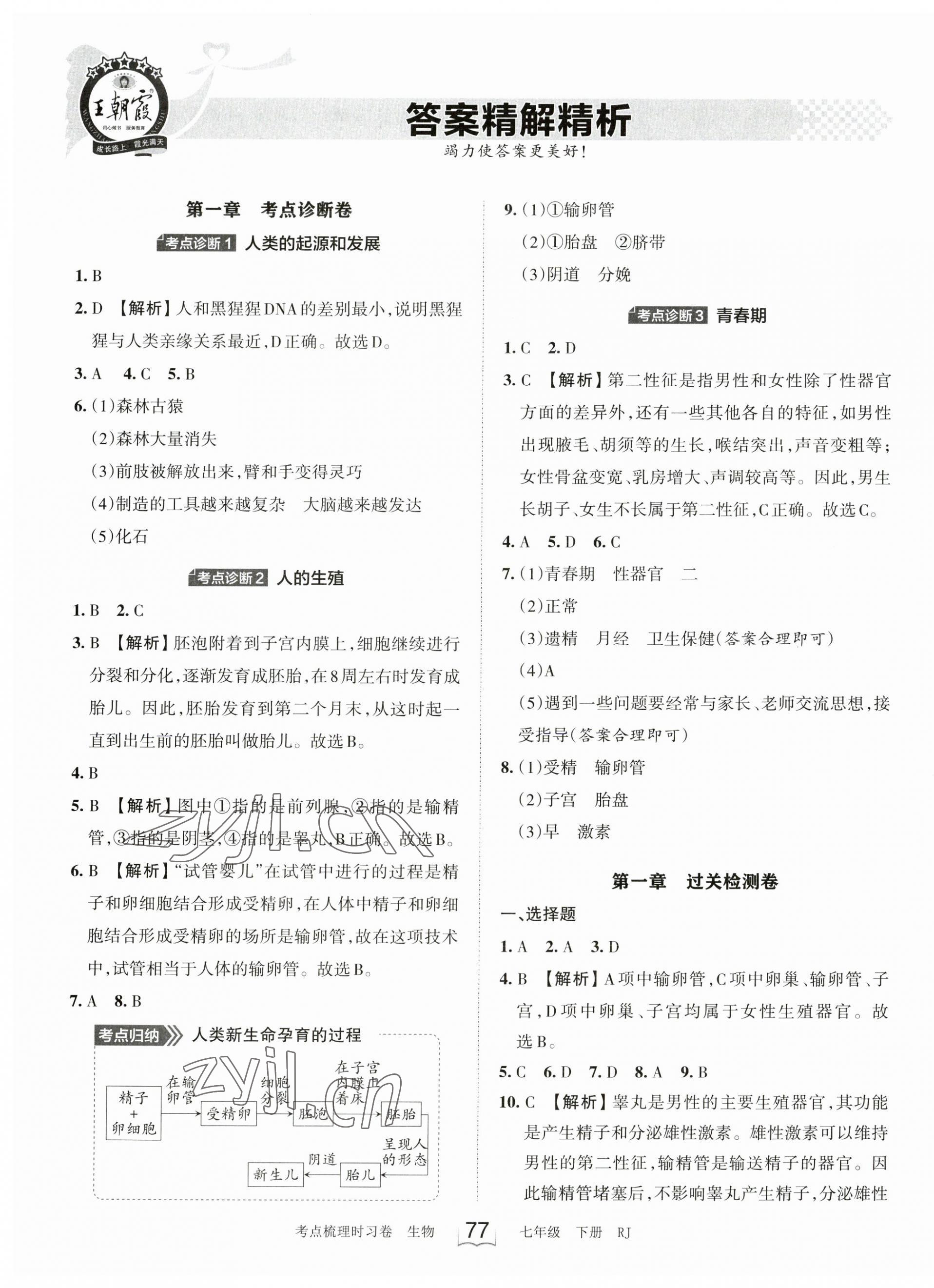 2023年王朝霞考點梳理時習(xí)卷七年級生物下冊人教版 第1頁