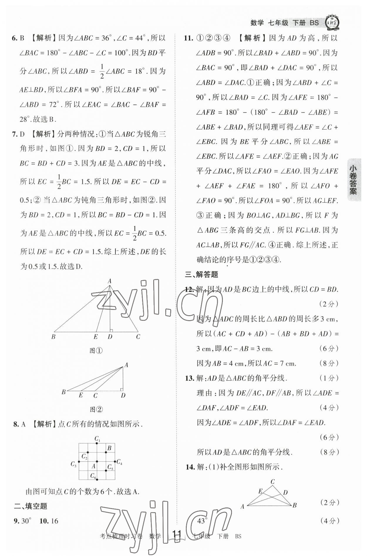 2023年王朝霞考點(diǎn)梳理時習(xí)卷七年級數(shù)學(xué)下冊北師大版 參考答案第11頁