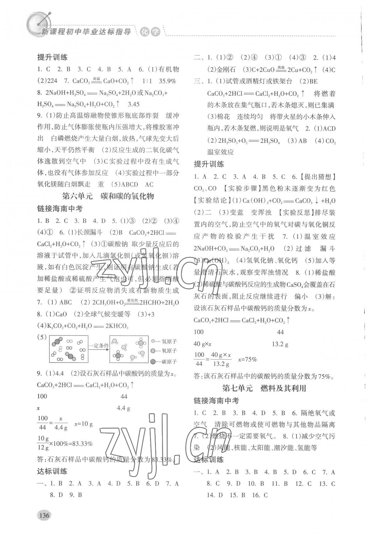 2023年新课程初中毕业达标指导中考化学 第4页