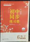 2023年同步練習(xí)冊(cè)北京師范大學(xué)出版社六年級(jí)數(shù)學(xué)下冊(cè)魯教版54制