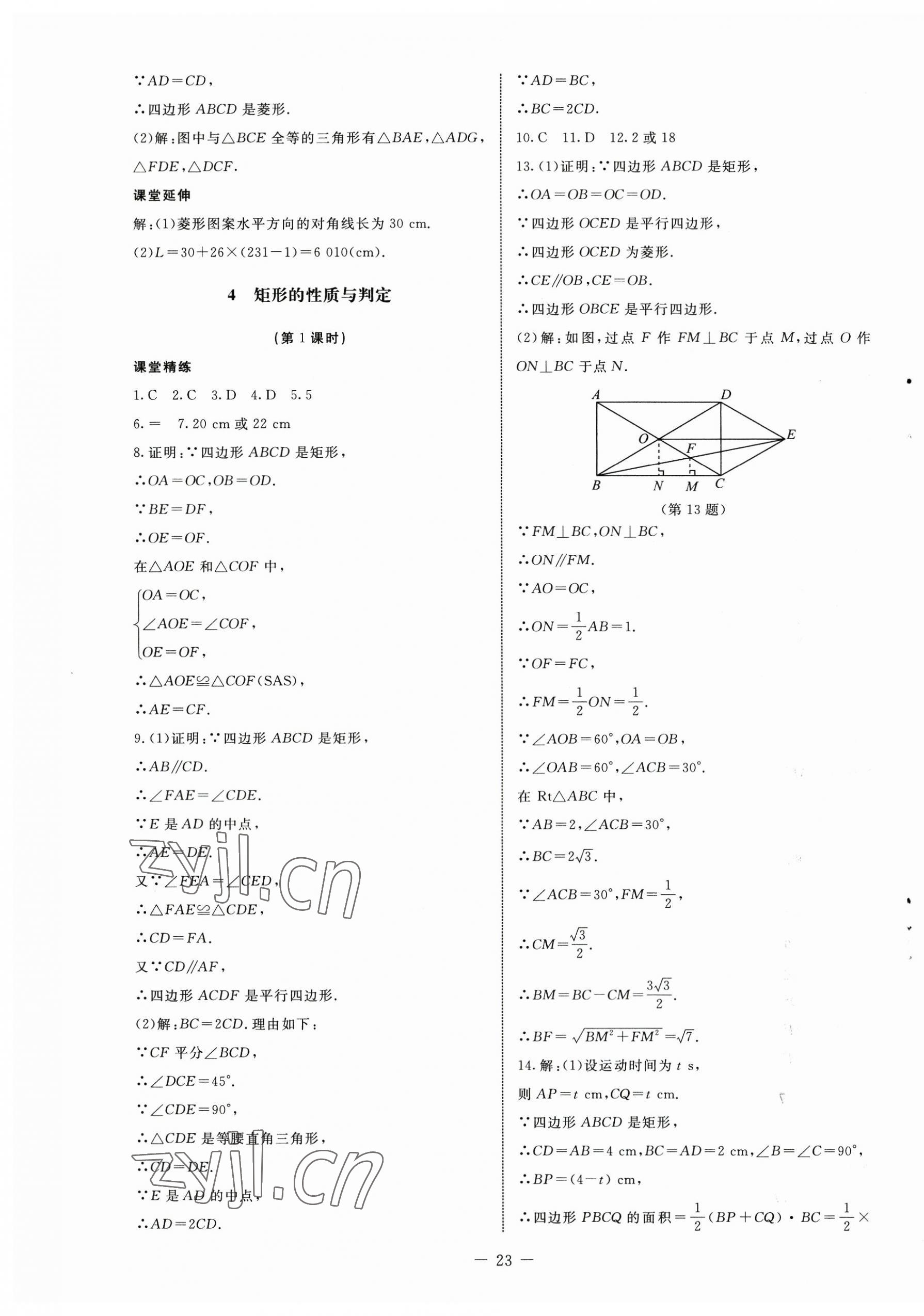 2023年初中同步练习册八年级数学下册鲁教版54制北京师范大学出版社 第3页