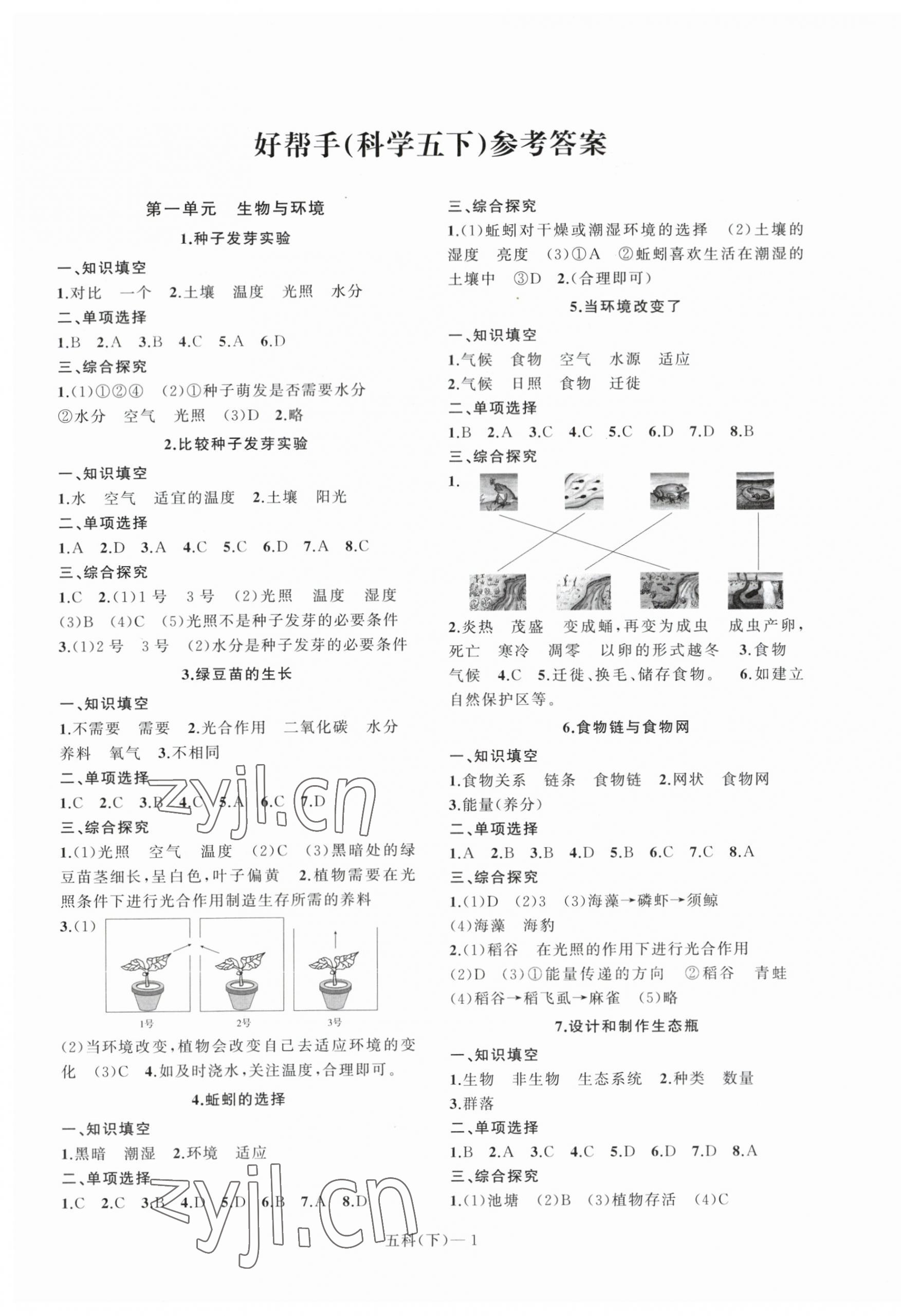 2023年小學學習好幫手五年級科學下冊教科版 第1頁