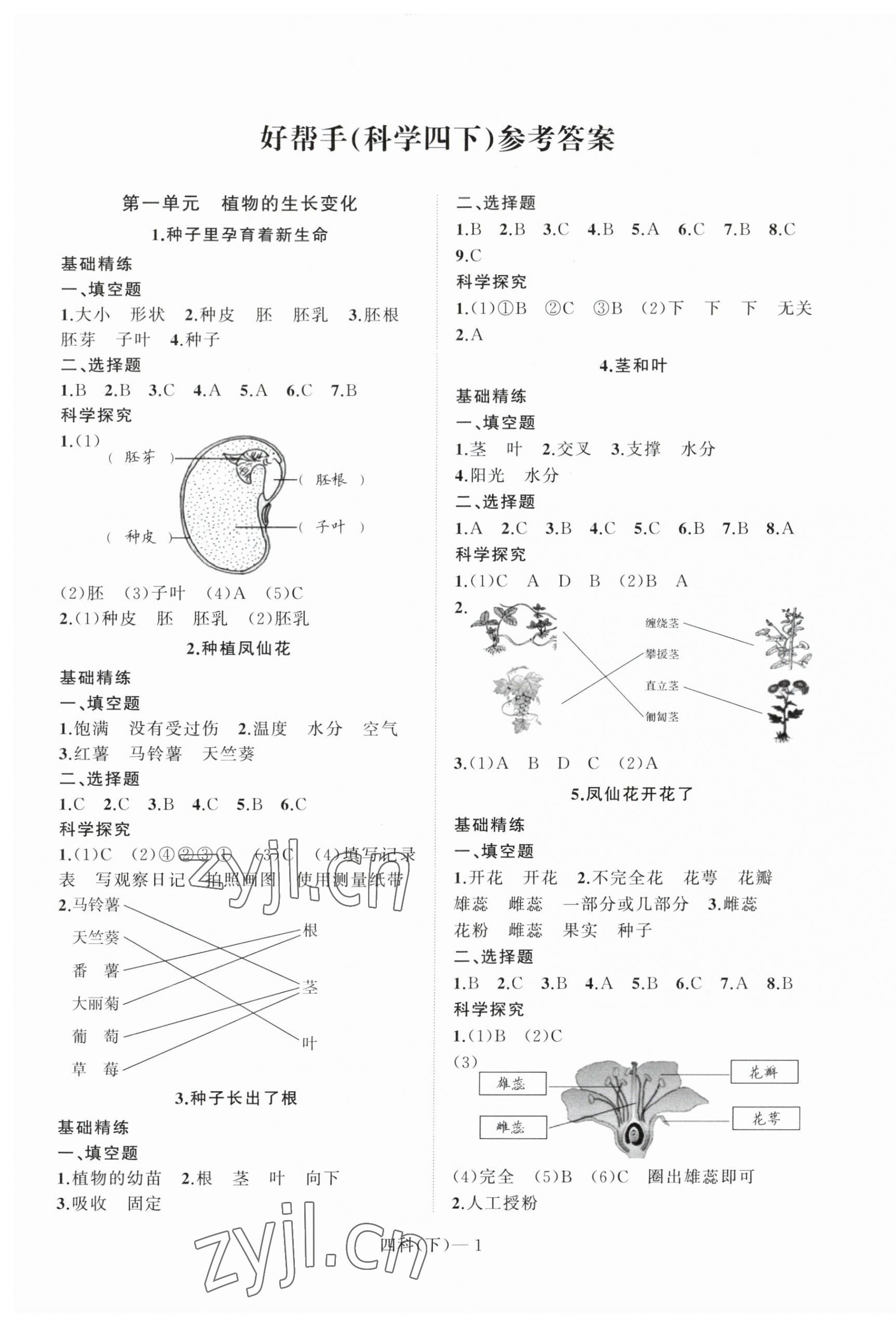 2023年小學學習好幫手四年級科學下冊教科版 第1頁