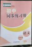 2023年同步練習(xí)冊(cè)七年級(jí)語(yǔ)文下冊(cè)人教版54制山東教育出版社