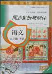 2023年人教金学典同步练习册同步解析与测评五年级语文下册人教版精编版