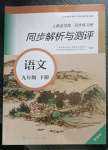 2023年人教金學(xué)典同步練習(xí)冊同步解析與測評九年級語文下冊人教版精編版